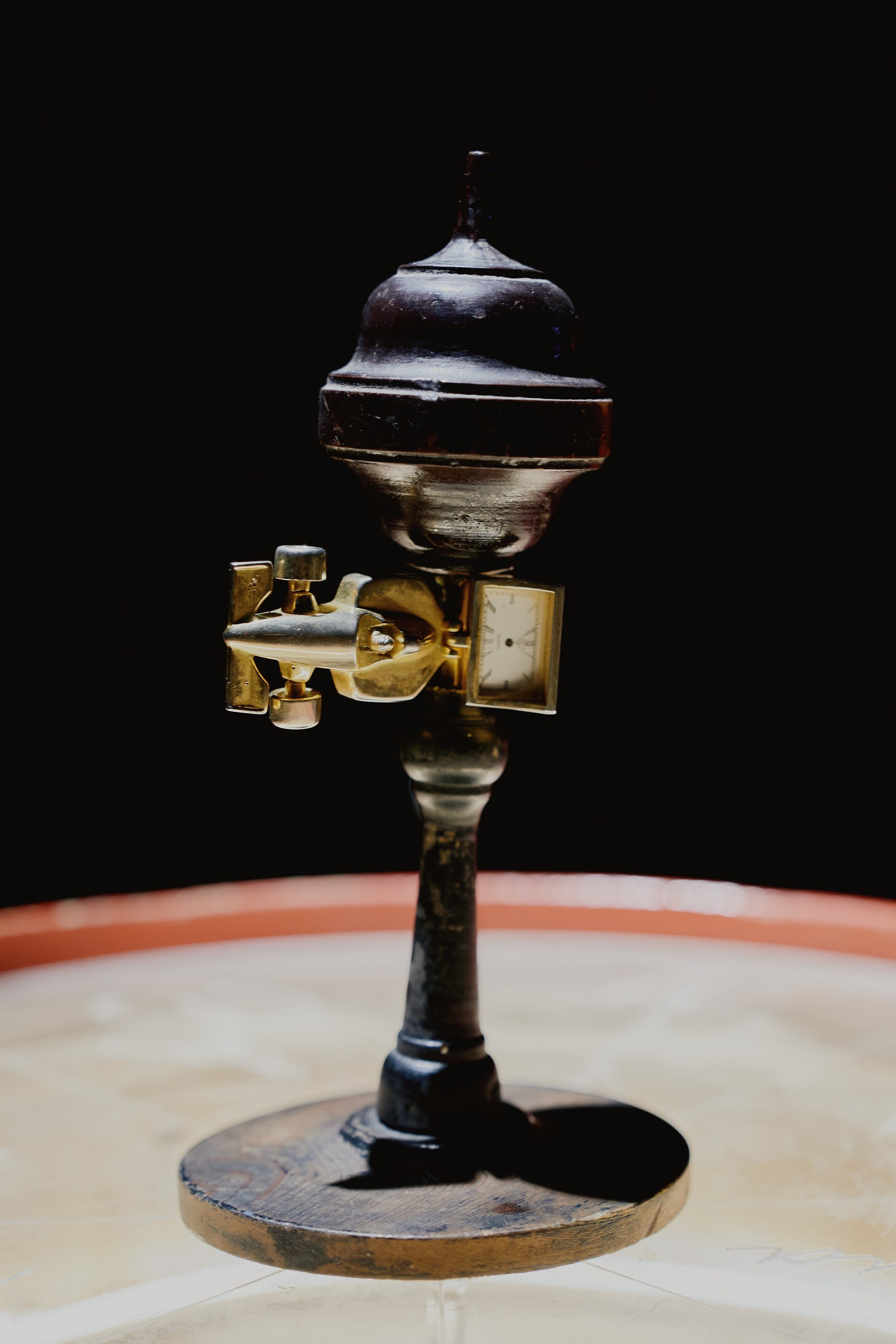 Spira mirabilis| Удивительная спираль. Alina Kugush