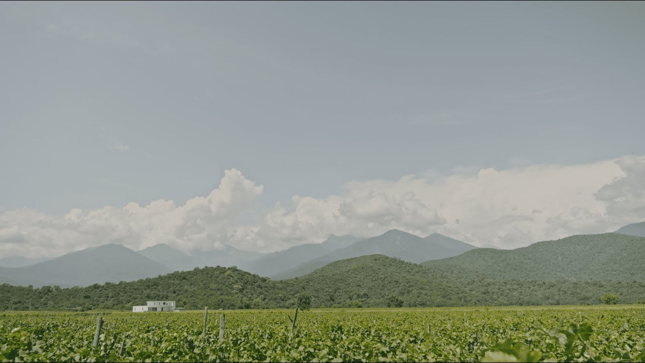 Портфолио. Видеограф Тбилиси, Грузия / Wedding videographer Tbilisi Georgia