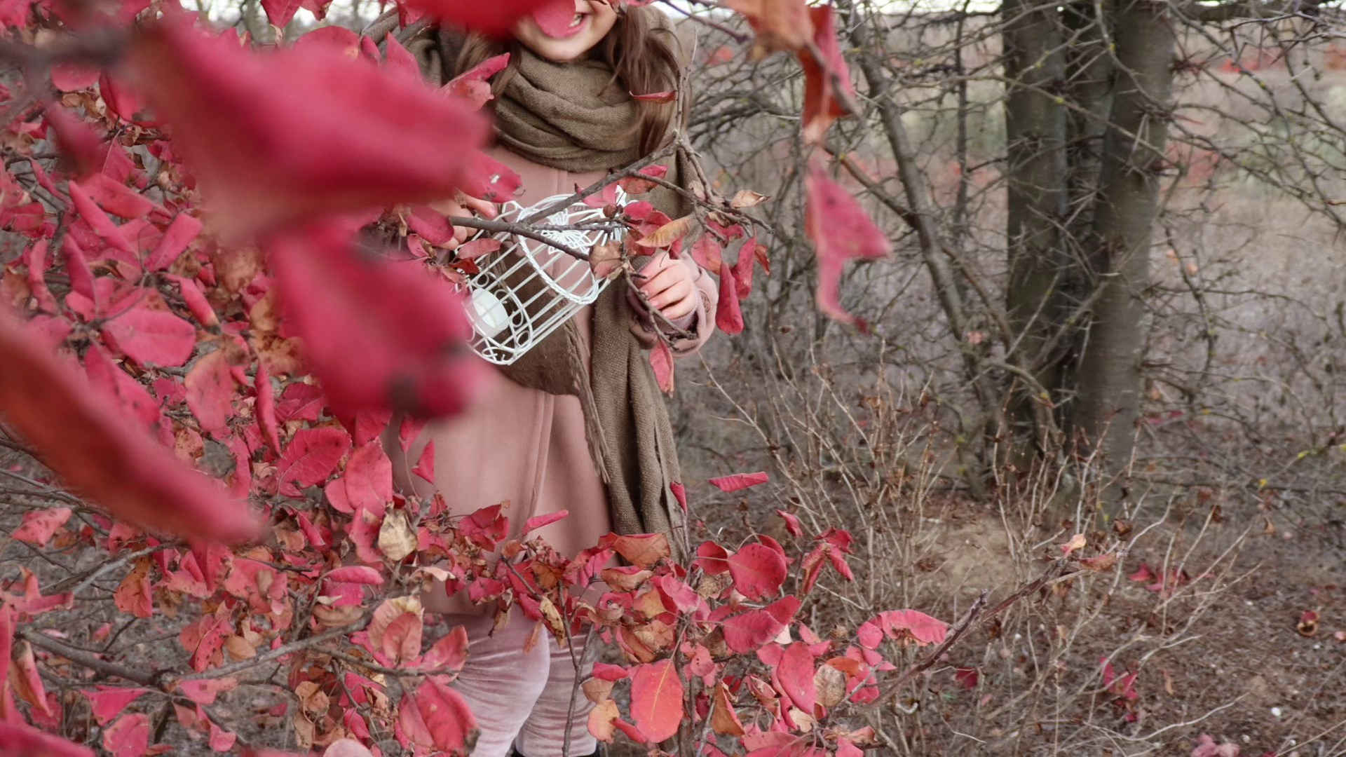 YS Kreativwerk | Yana Stoianova — Foto- & Videografie in Bayern und deutschlandweit