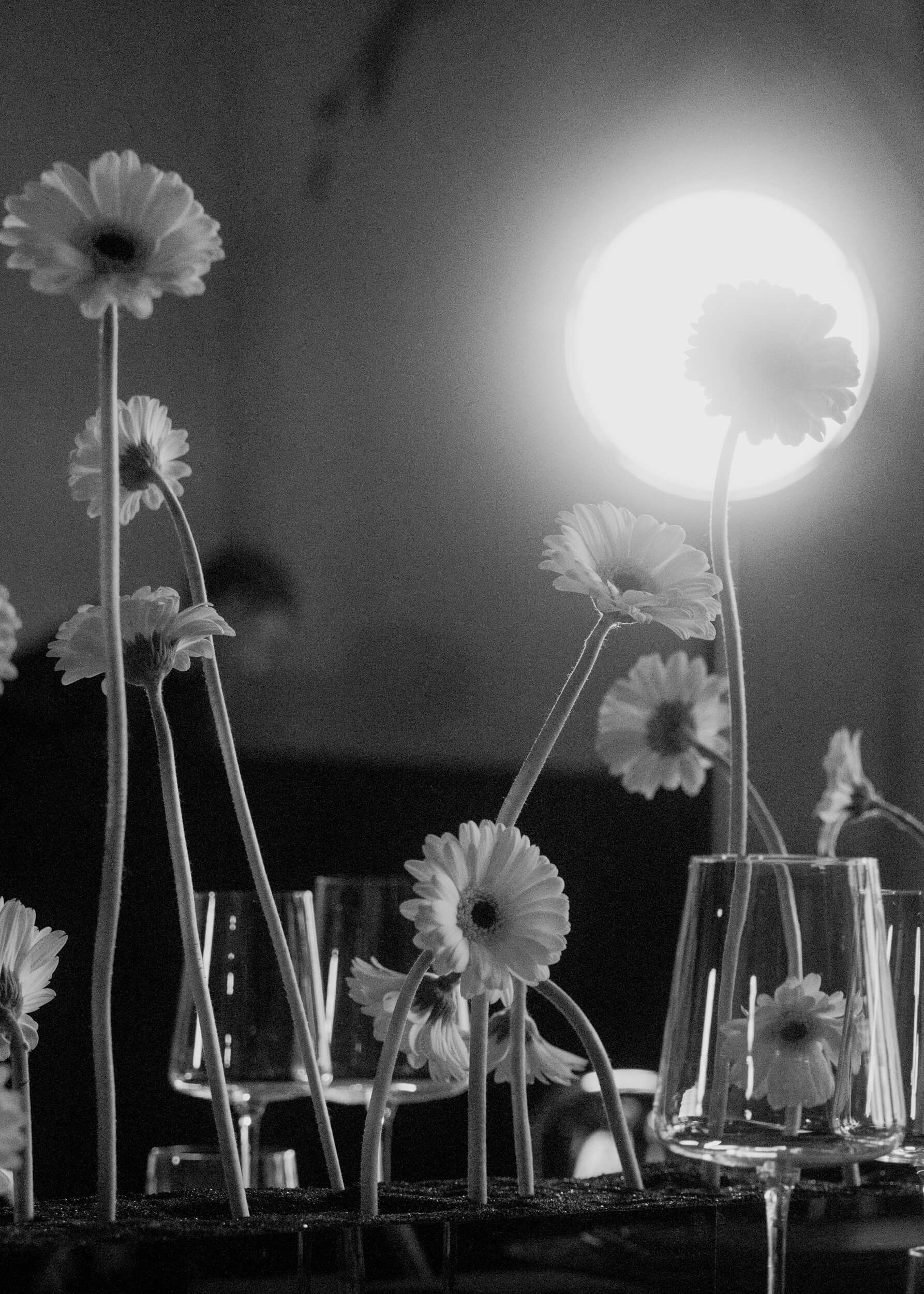 Professional event photographer: Conferences, trade fairs, corporate and private events. Inna Zaytseva Photography | Photographer in Munich | Content Creation