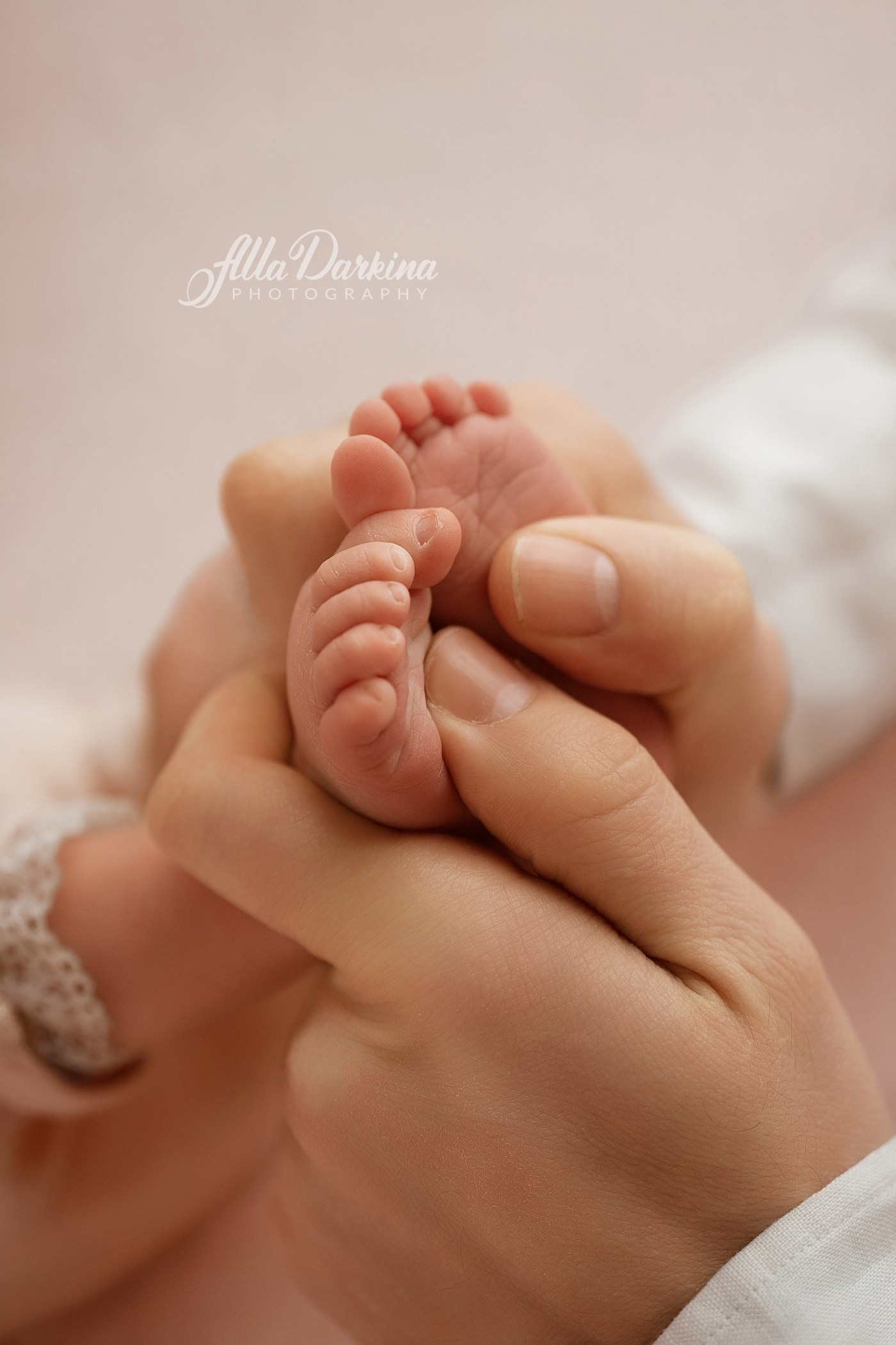 Newborn session price guide. Newborn and family photographer. Hills District. Sydney