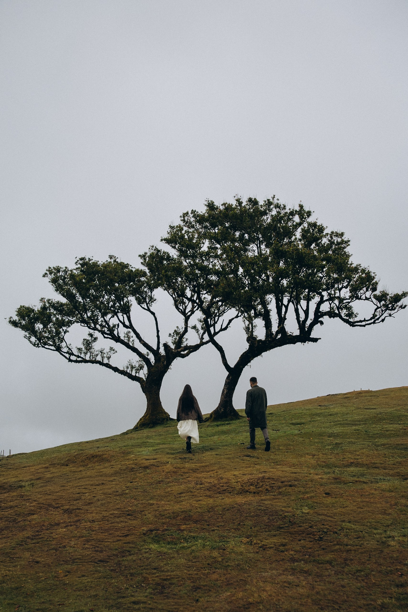 Love Story in Fanal Forest, Madeira | Romantic Couple Photoshoot