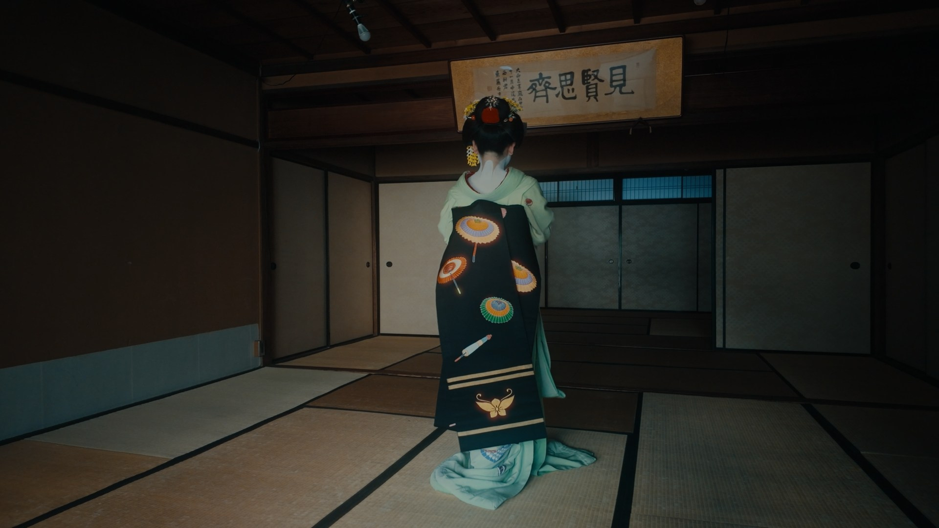 Amirhamzeh Mashayekhi Colorist