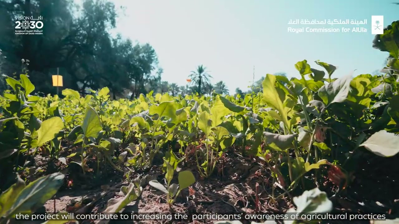 ADS. KEPLER PRODUCTION