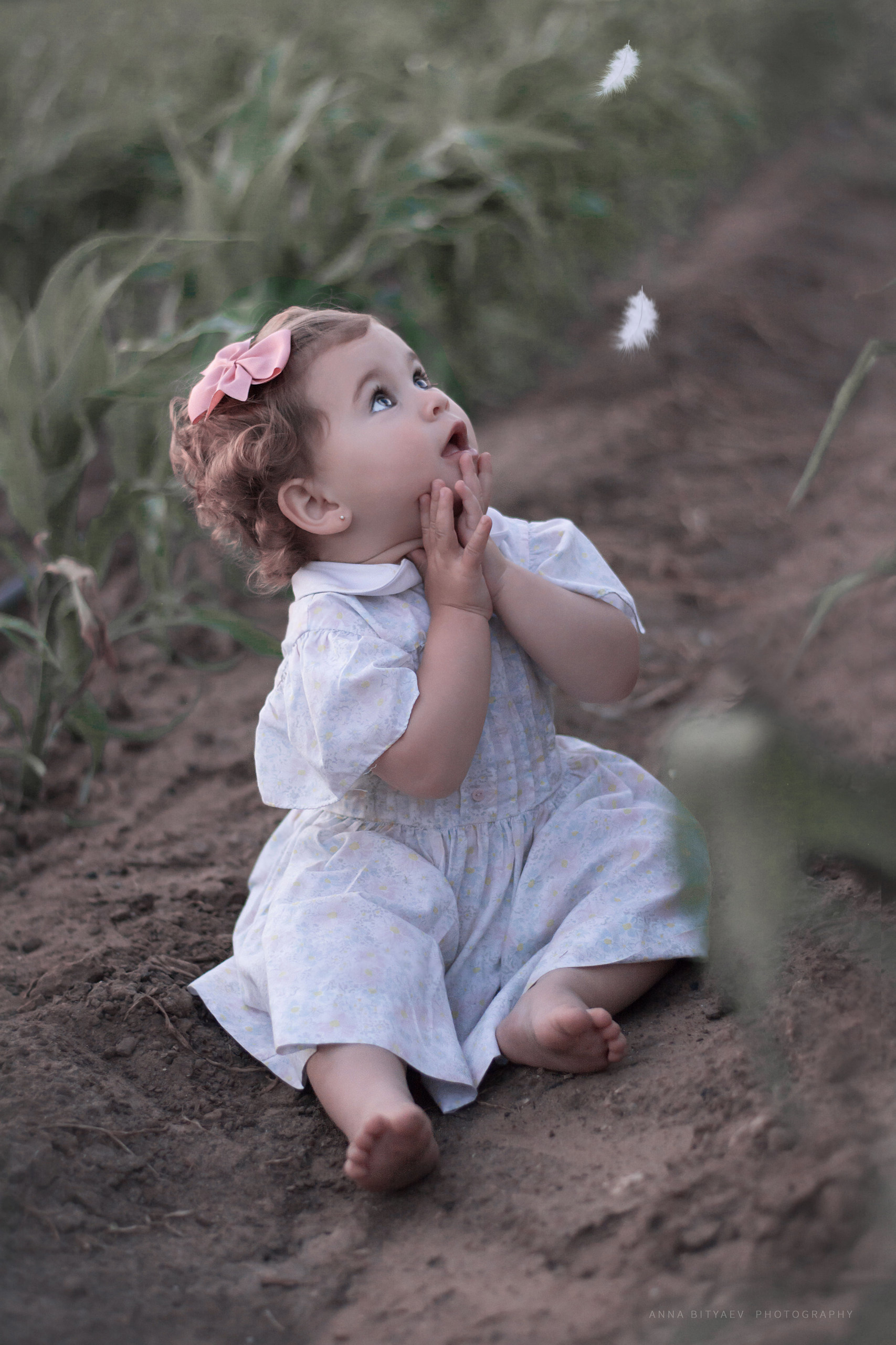 אלבום מלאכים. אנה ביטייב, צלמת, שוהם, Anna Bityaev Photography