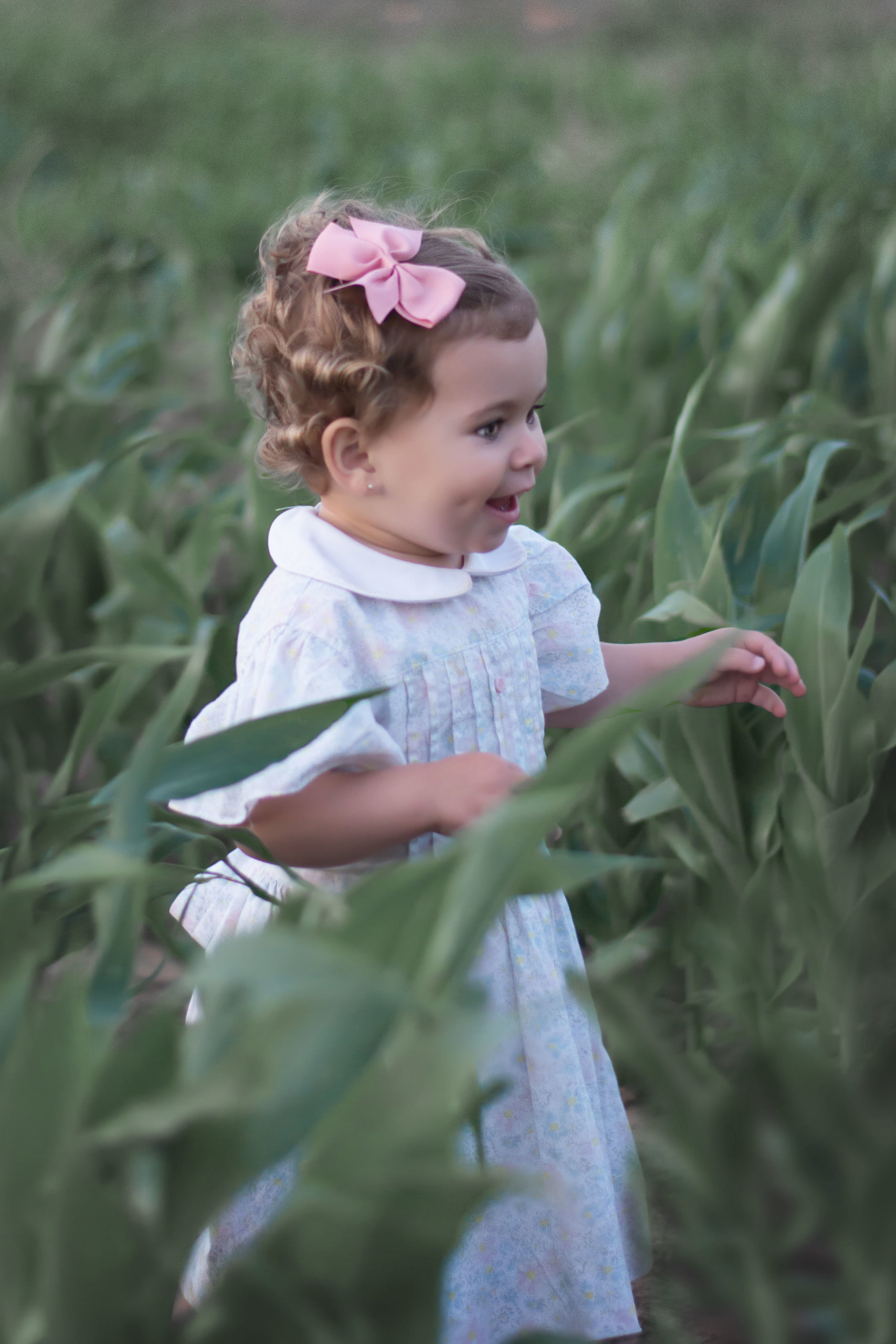 אלבום מלאכים. אנה ביטייב, צלמת, שוהם, Anna Bityaev Photography