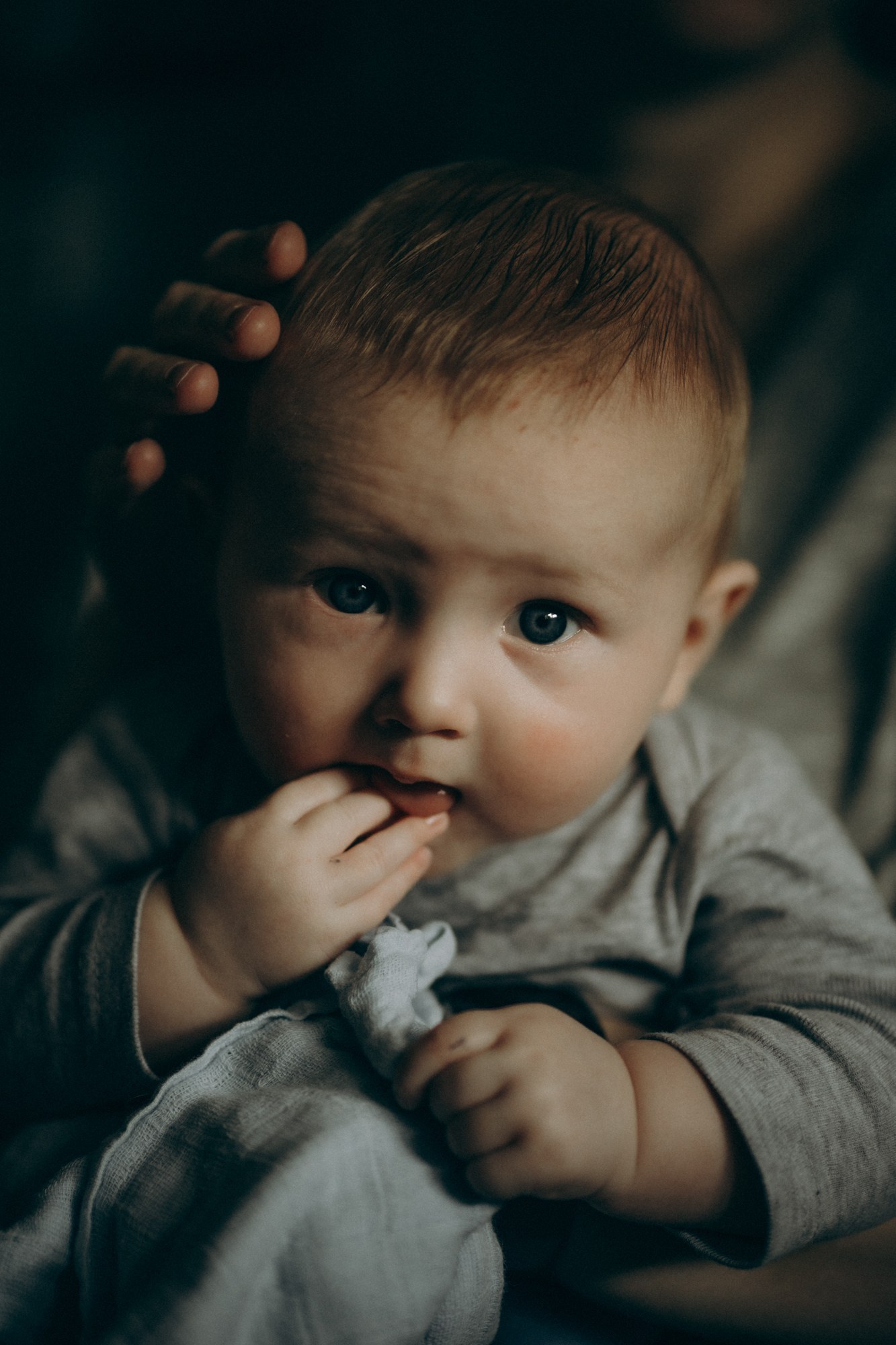 Портрет малыша с серьёзным взглядом — детская фотосессия, фотографии детей в Дрездене