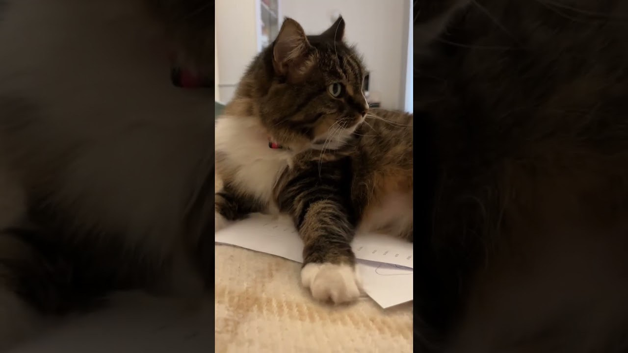 Что такое современное искусство простыми словами?. Школа современного искусства Лени Сморагдовой