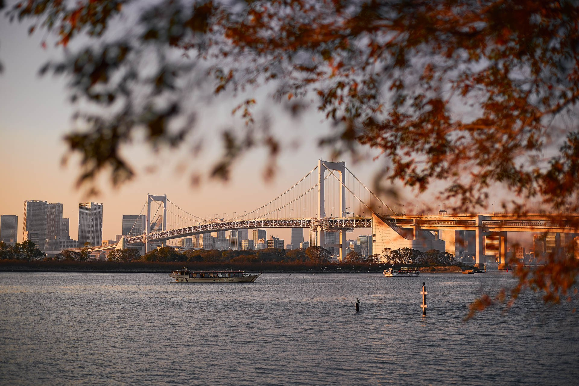 Tokyo Travel Photography Guide: Best Districts, Attractions & Tips