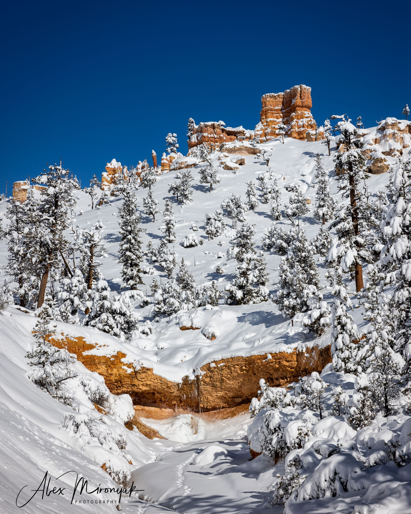 New Year In Utah. Pet, Senior, Landscape, portrait studio, photographer in Miami and Sou