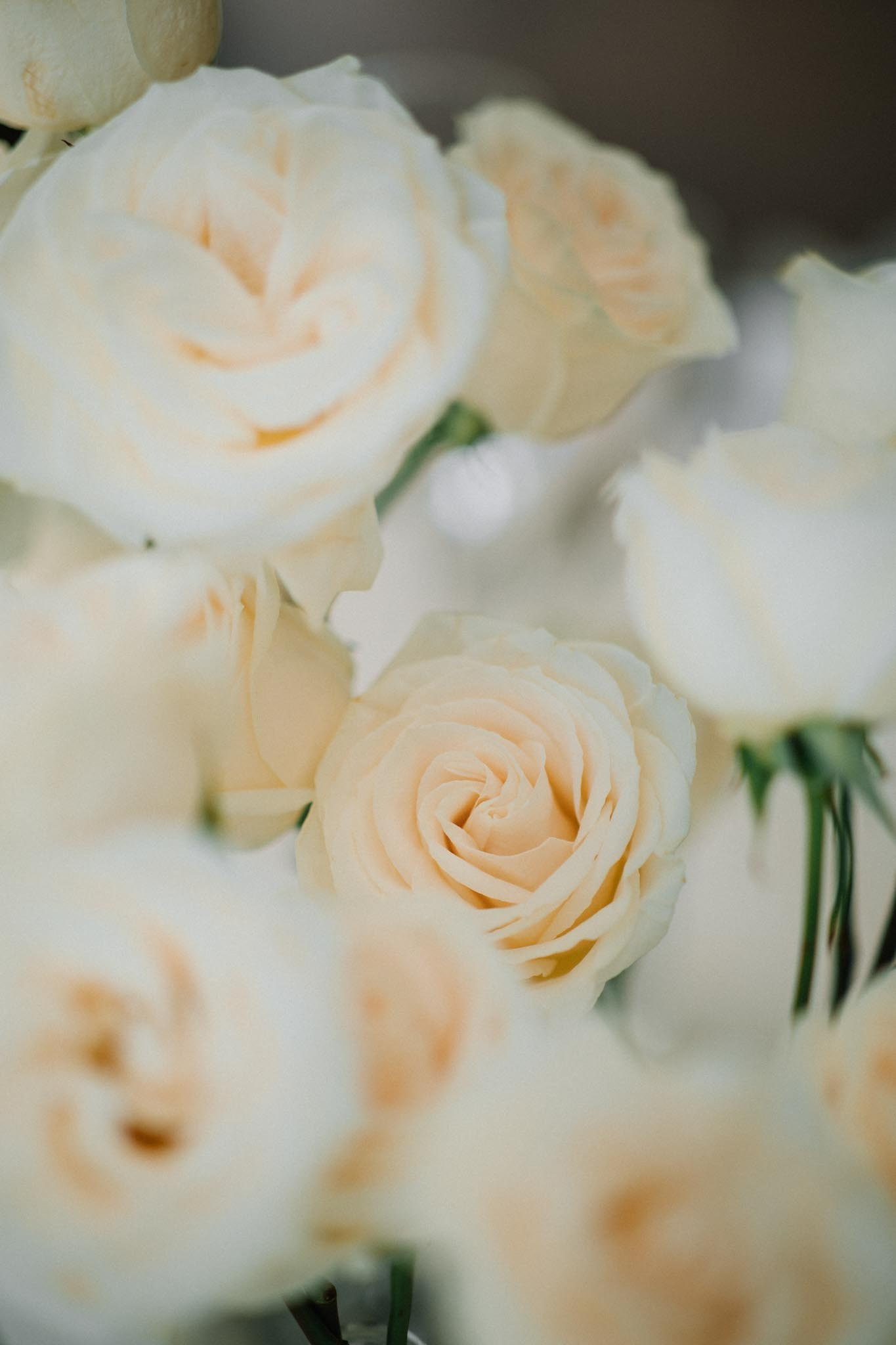 Wedding. Sura Moments | Southern California Wedding Photo & Video