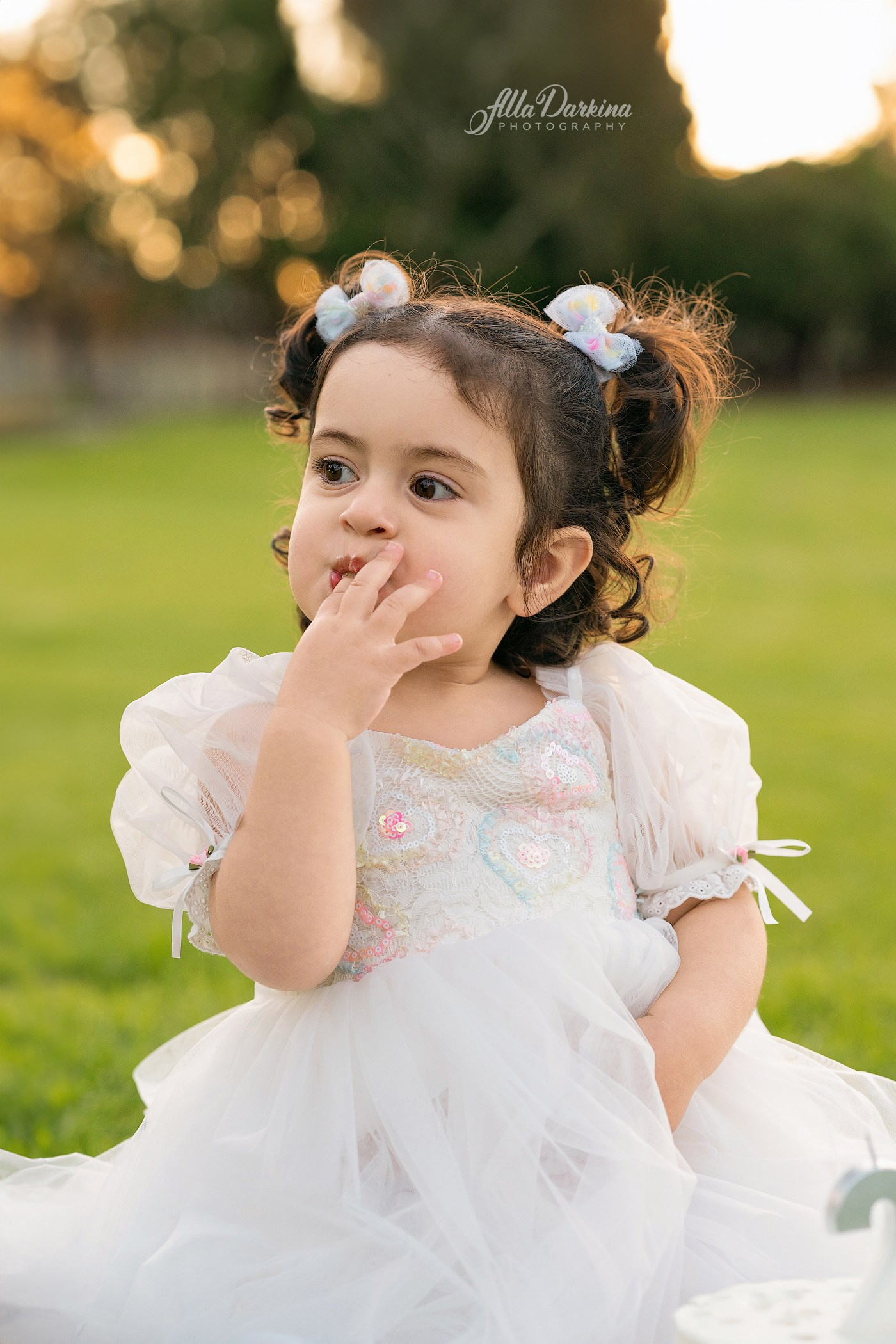 Outdoor Family Photography in Sydney | Liliya’s 2nd Birthday