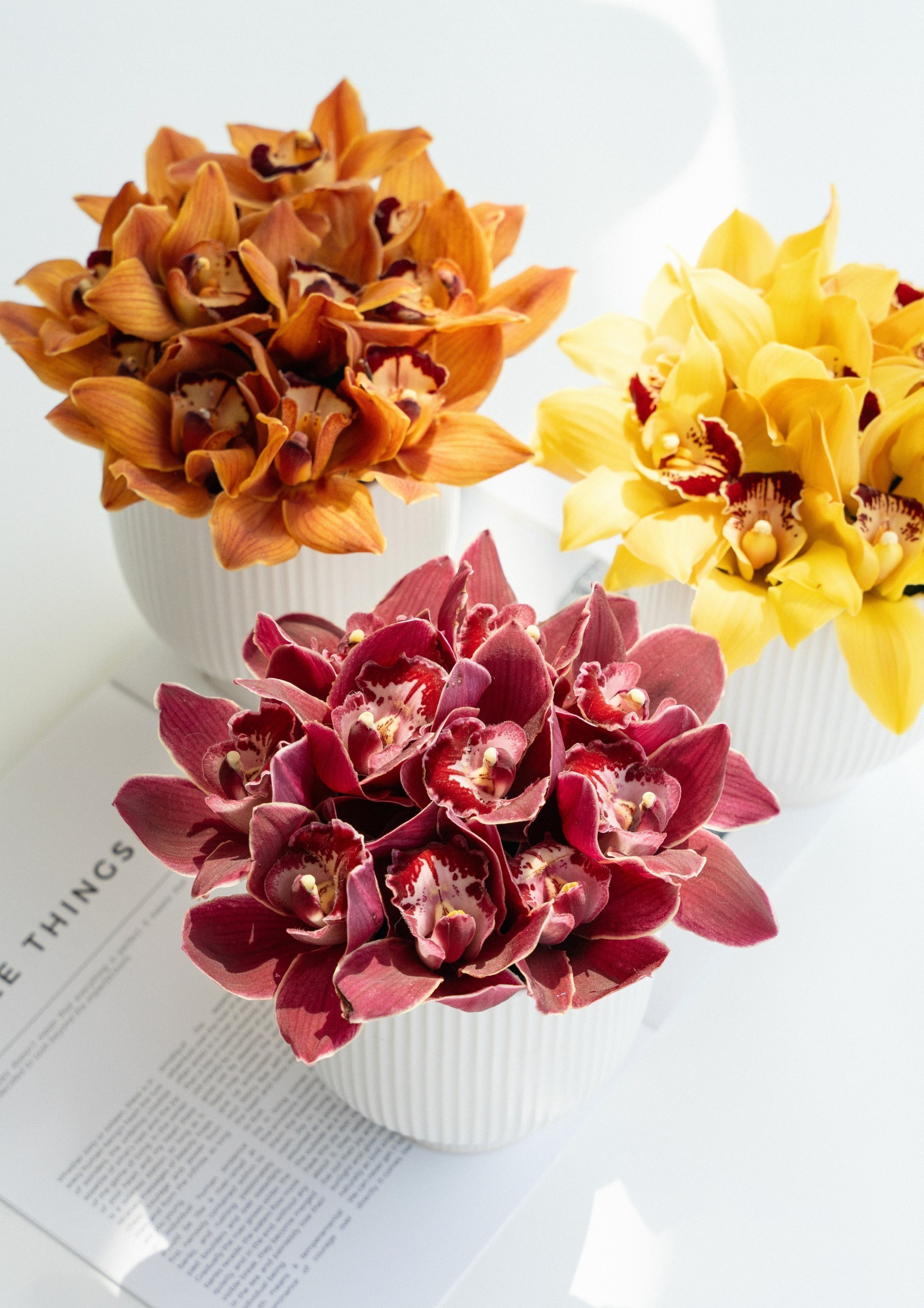 Product Photography and Videography in Dubai | High-Quality Visuals fo. GSP Media | Dubai Photography & Videography Services