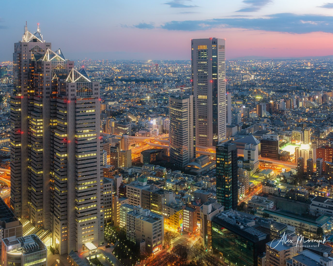 Hanami Season in Japan. Pet, Senior, Landscape, portrait studio, photographer in Miami and Sou