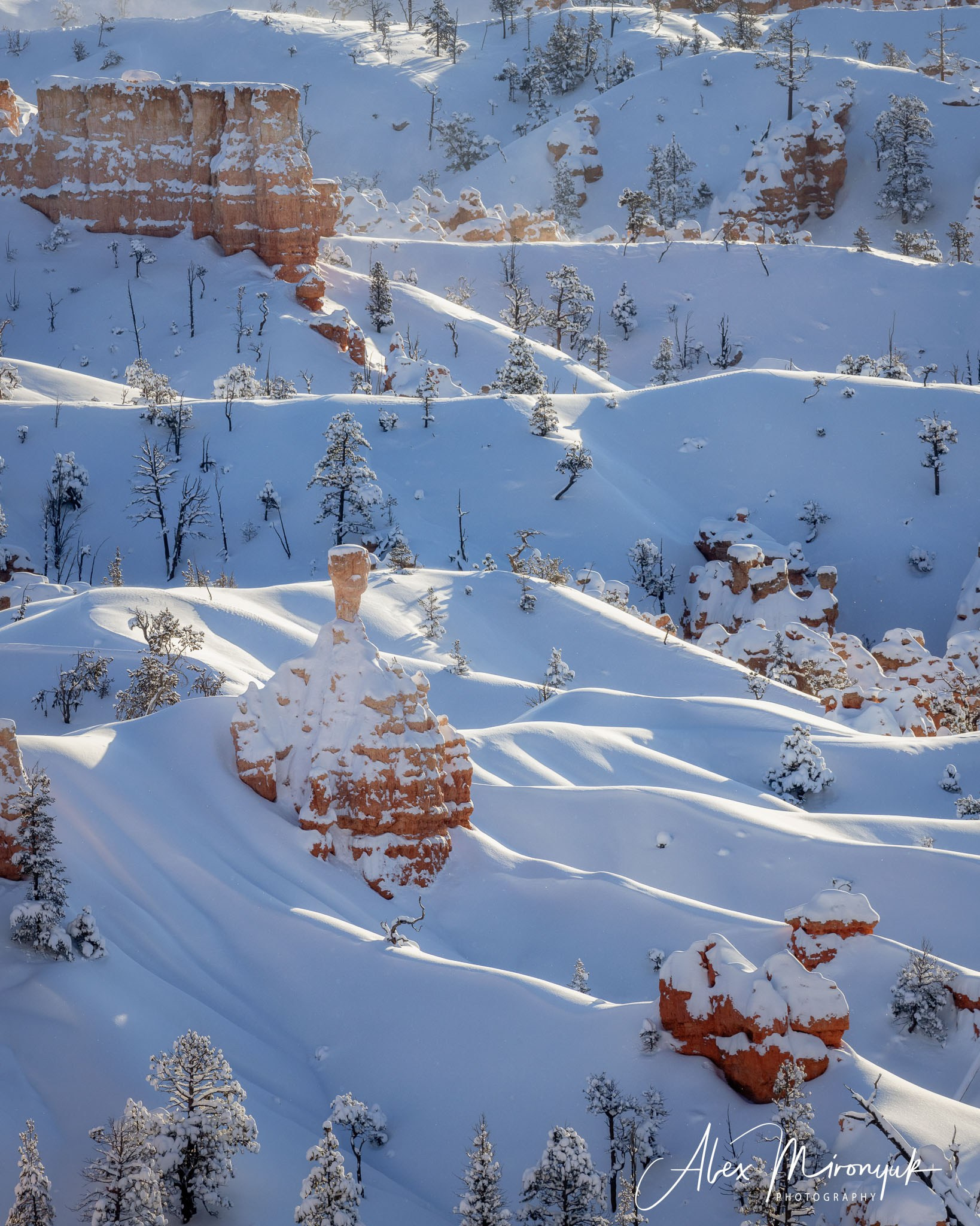 New Year In Utah. Pet, Senior, Landscape, portrait studio, photographer in Miami and Sou