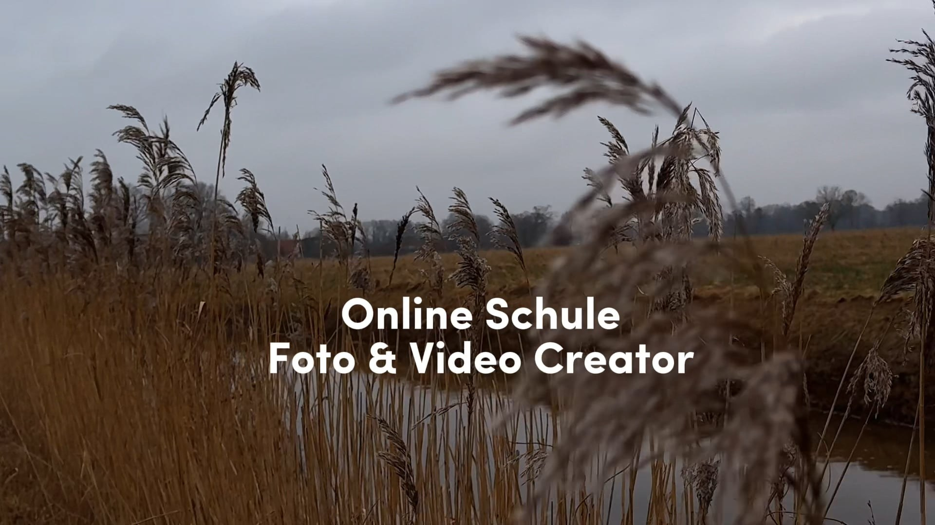 ONLINE SCHULE Videocreator. Fotografin und Videografin im Raum Osnabrück und Emsland Alla