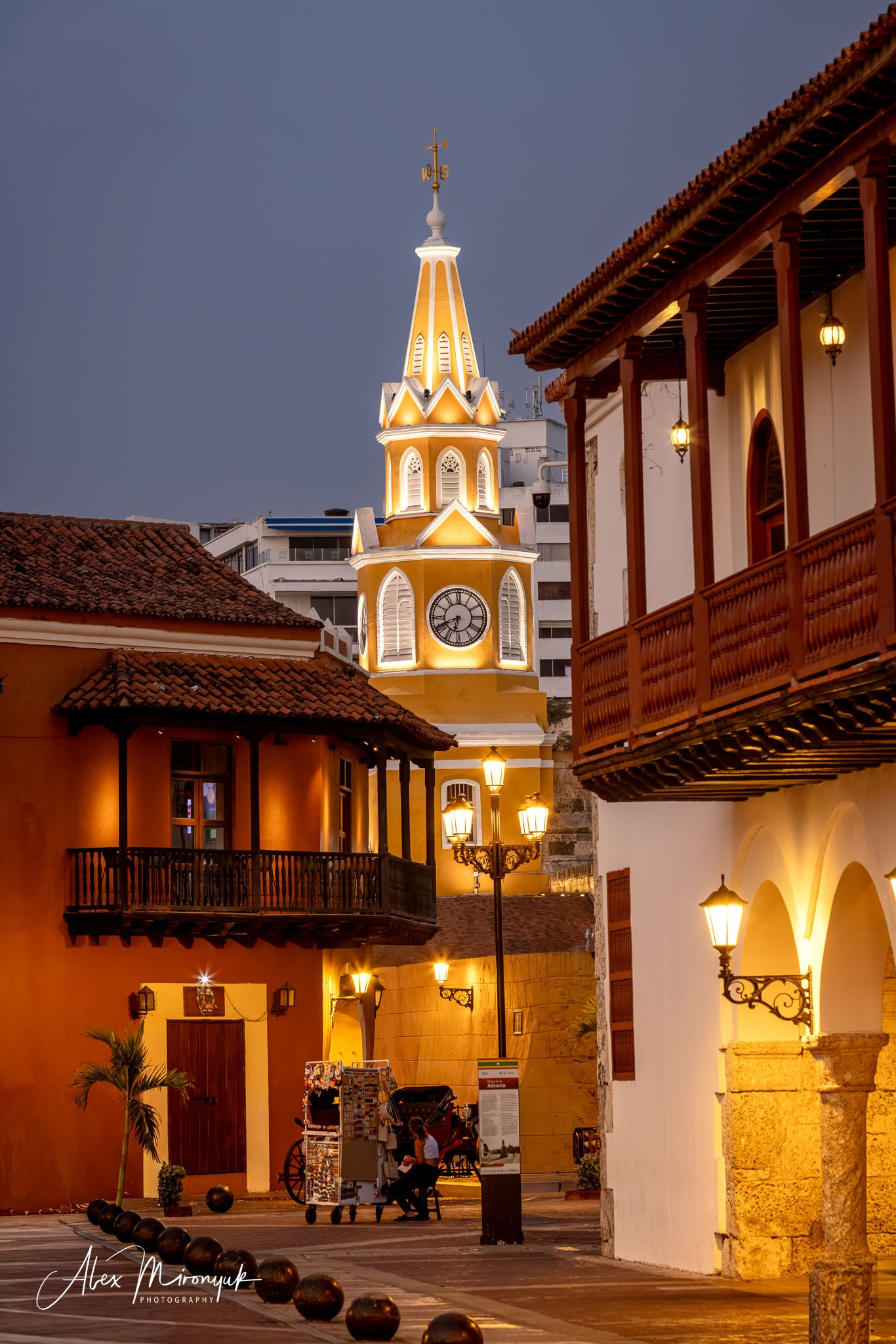 Colombia in Style. Pet, Senior, Landscape, portrait studio, photographer in Miami and Sou