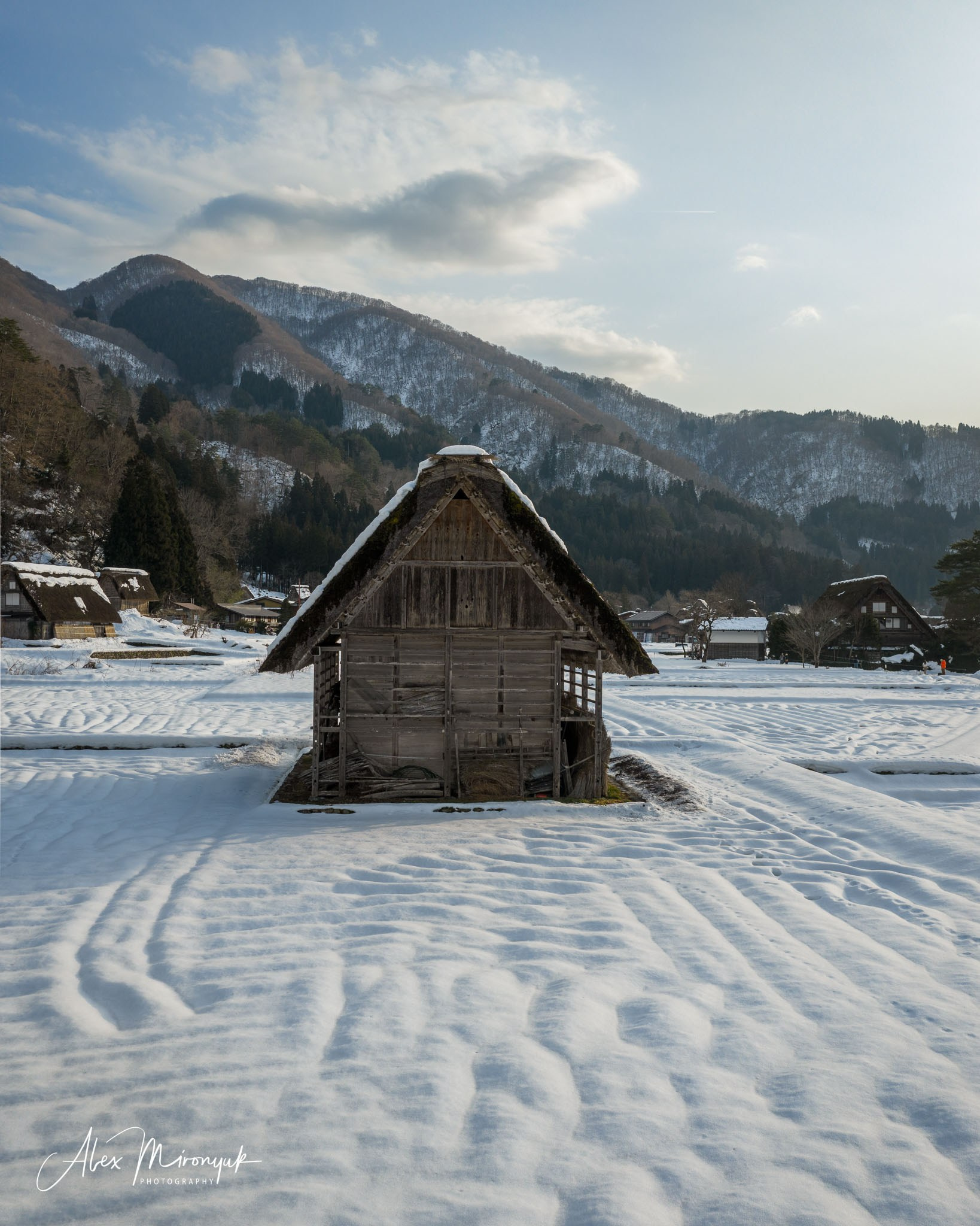 Winter Japan: Snow Monkeys, Castles & Timeless Villages. Pet, Senior, Landscape, portrait studio, photographer in Miami and Sou
