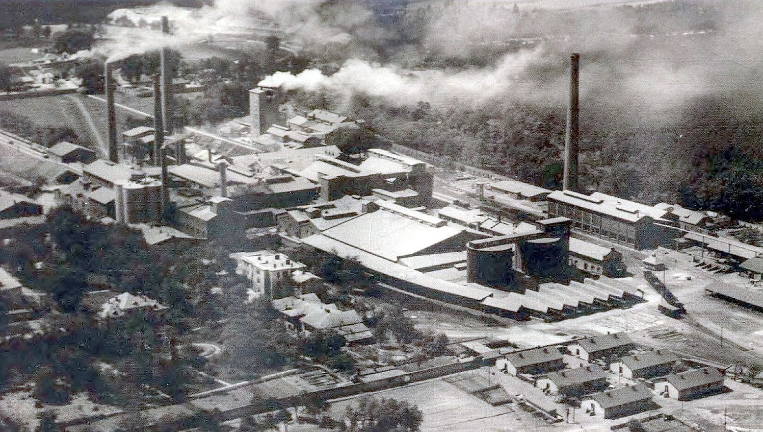 Projekty. Vector design studio Czesław Zubelewicz