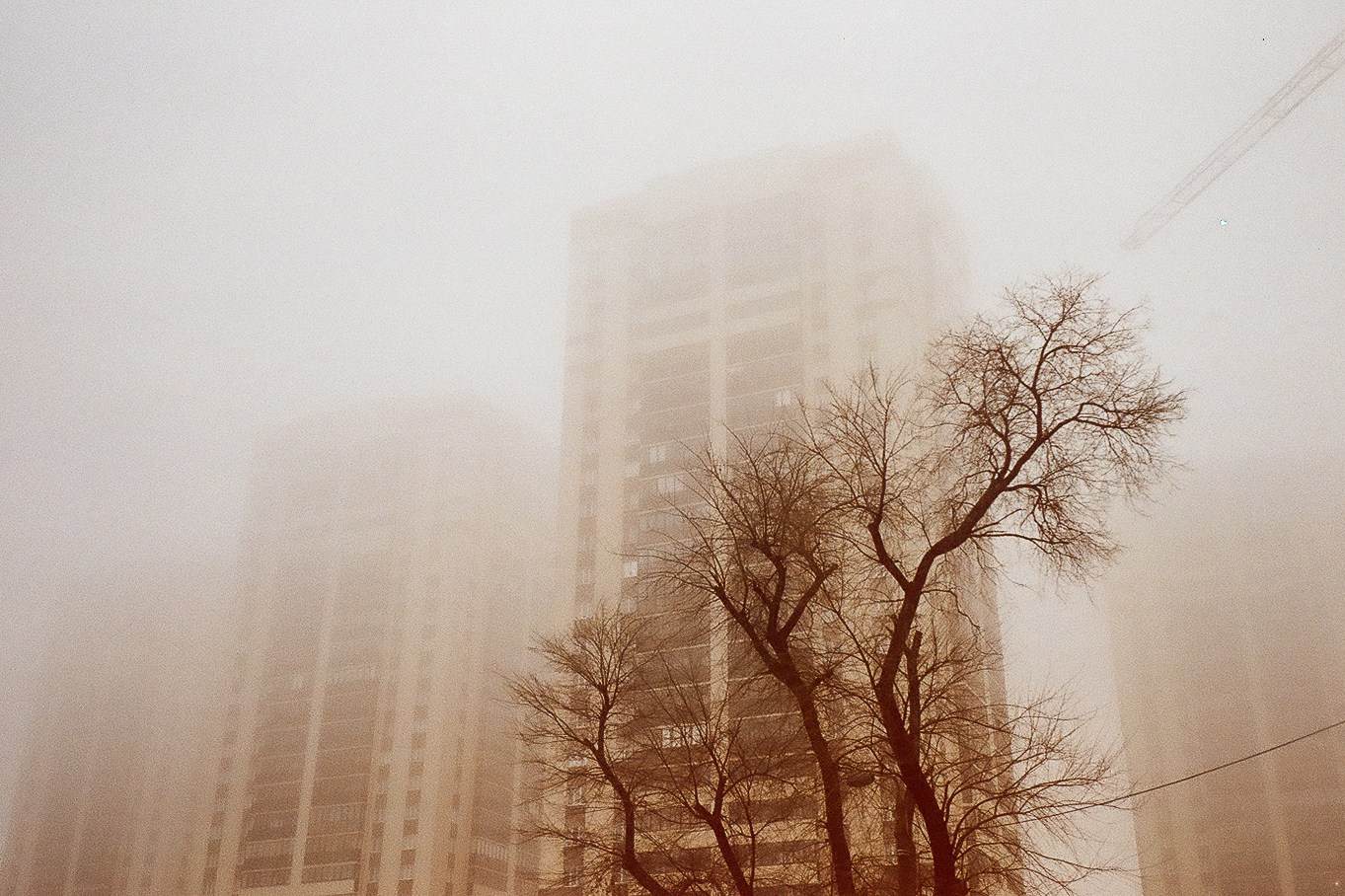 Commerce. Stanislava Novgorodtseva — Photographer | Visual Artist | Educator