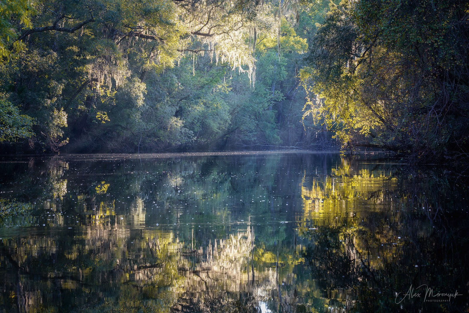 Exploring True Florida: Springs, Rivers & Manatees by Canoe. Pet, Senior, Landscape, portrait studio, photographer in Miami and Sou
