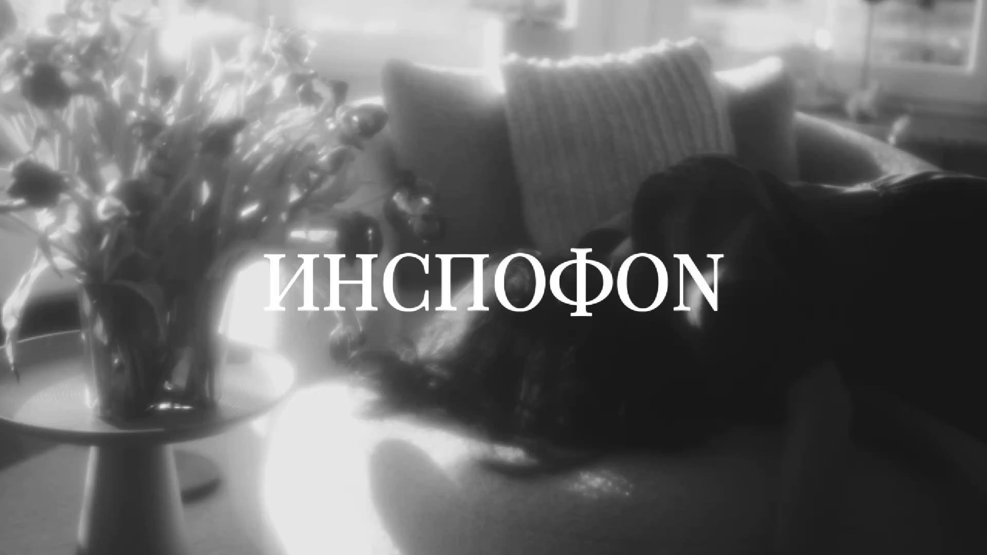 Films. Nina Kordes - Visual Artist