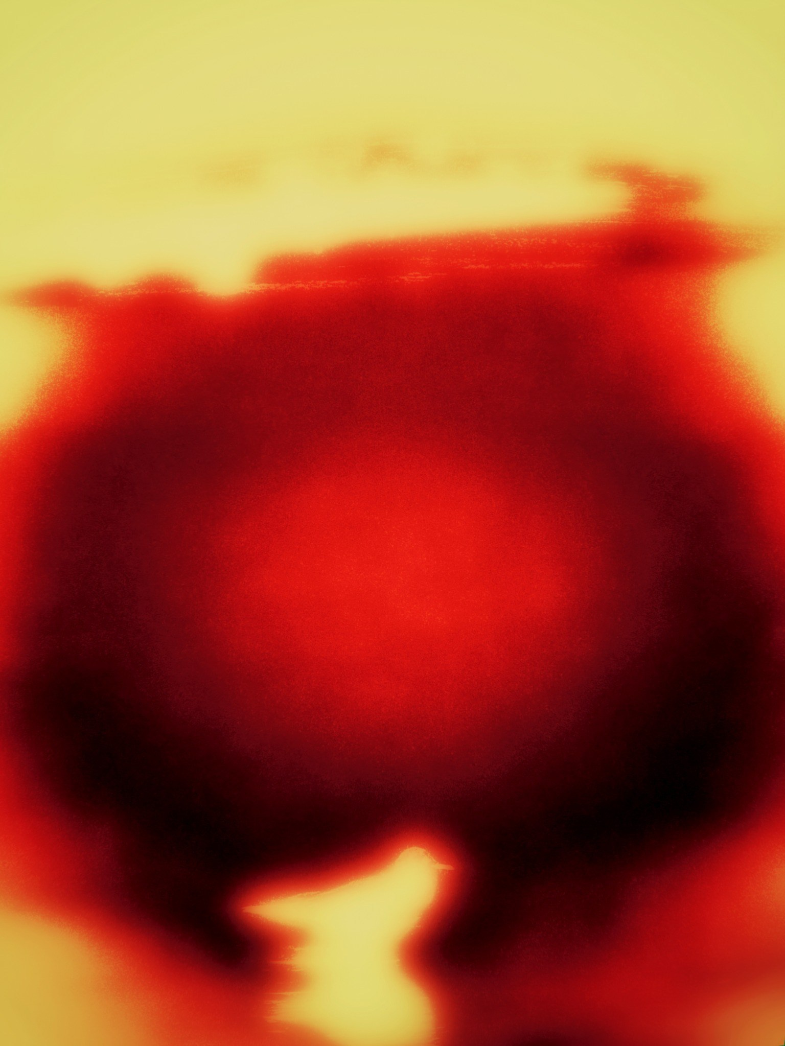 SEAGULLS. Irina Owlik — Visual Artist