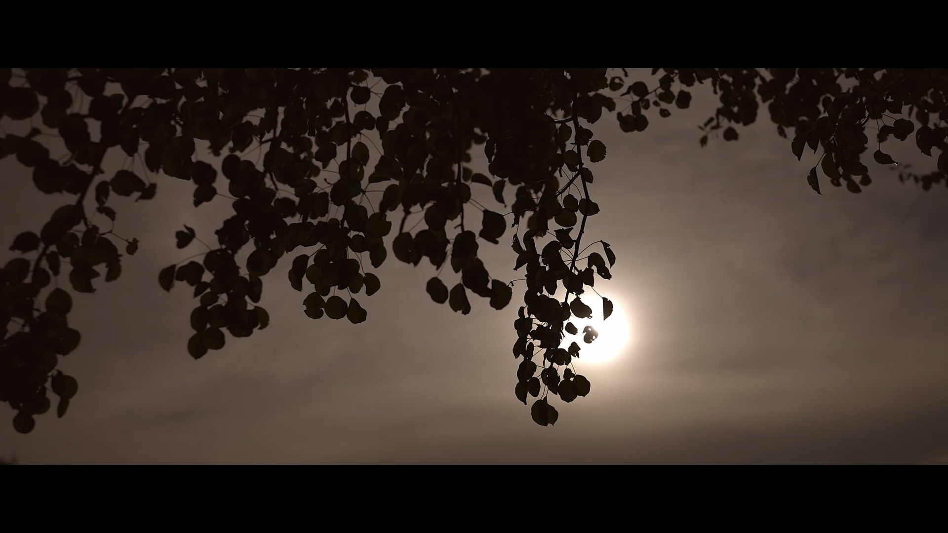 Vlad & Natalia video. Φωτογράφος και βιντεογράφος γάμου