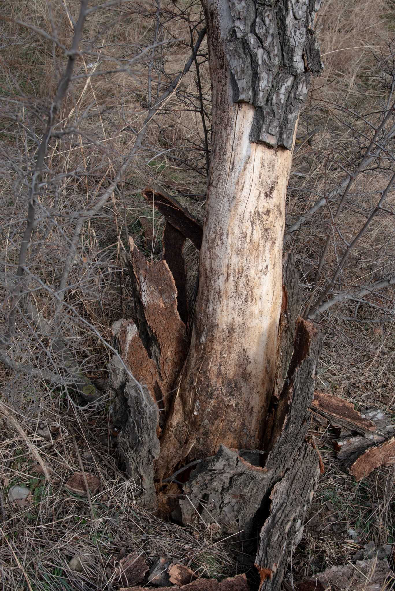 All I was told. Документальный и репортажный фотограф Айгуль Михайлова