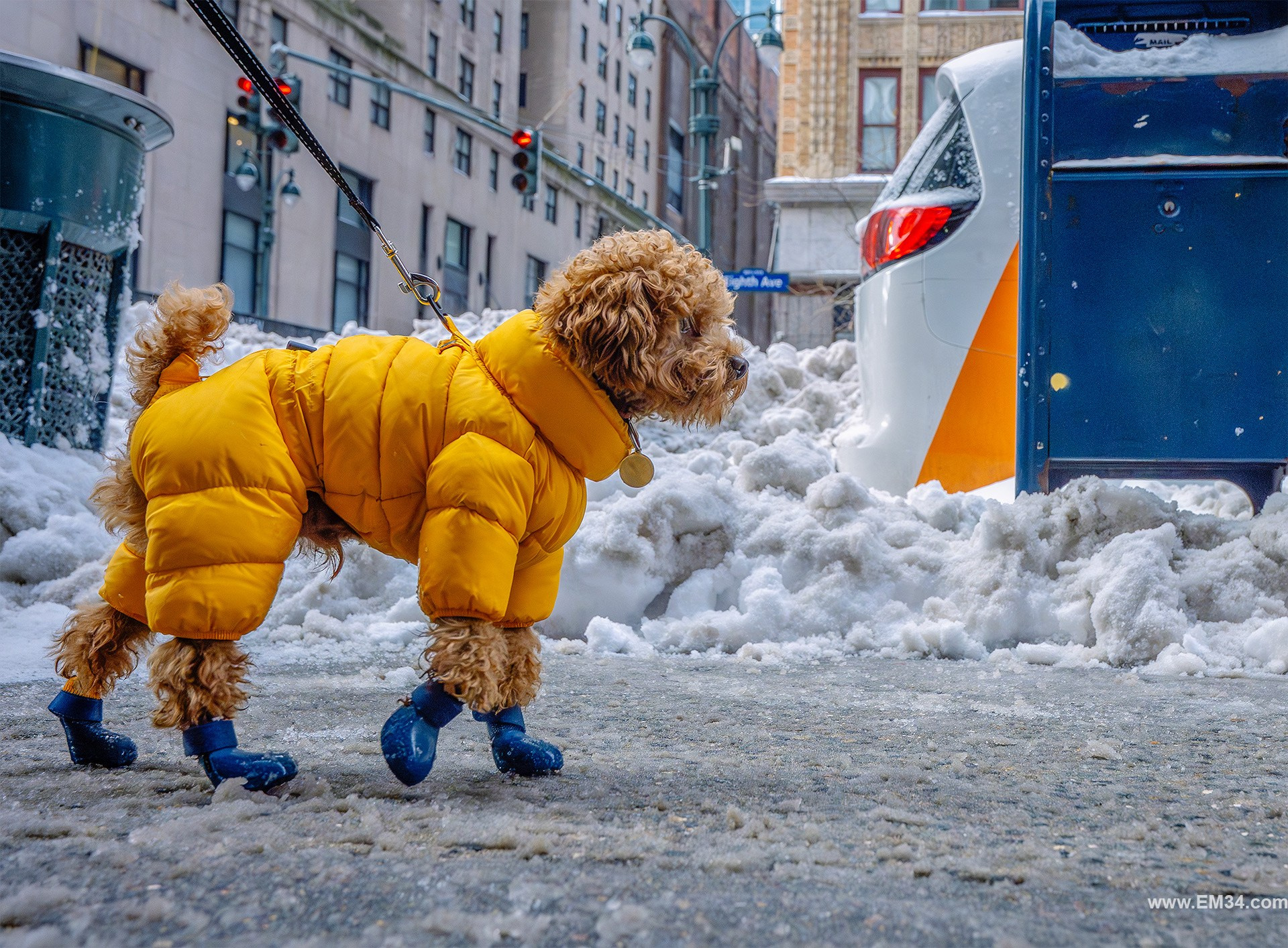 Best Street Photographer in New York City — Candid NYC Moments Captured by Emin Kuliyev. Emin Kuliyev — Award-Winning Wedding Photojournalist NYC & USA | Best Wedding Photographer Known for Candid, Timeless Moments