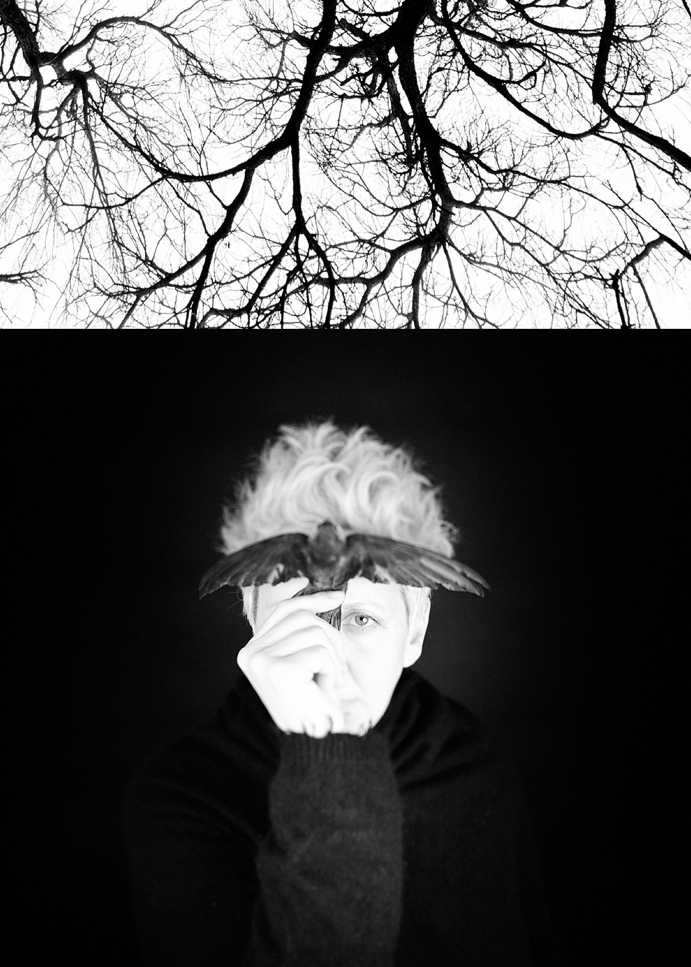 Reviews. Lilit Danielyan | photographer| filmmaker | teaching artist