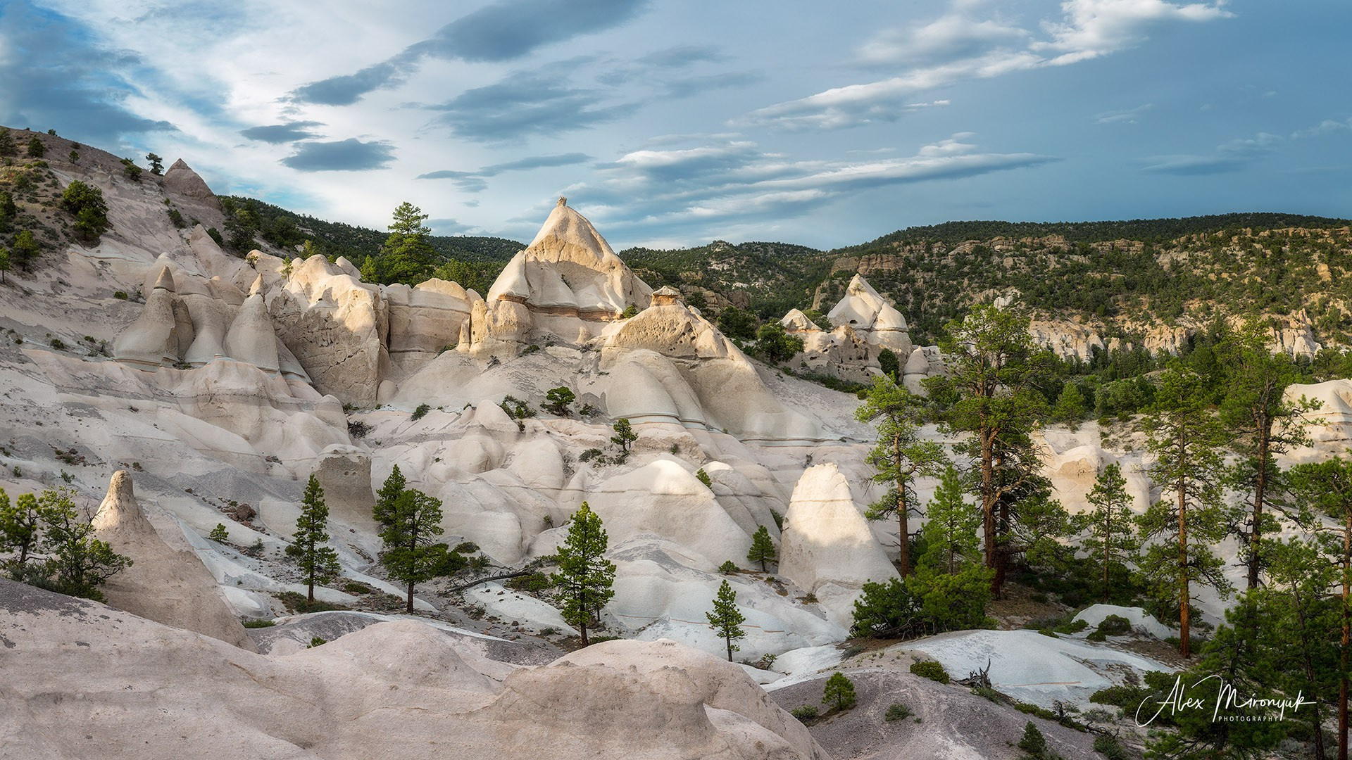 New Year In Utah. Pet, Senior, Landscape, portrait studio, photographer in Miami and Sou