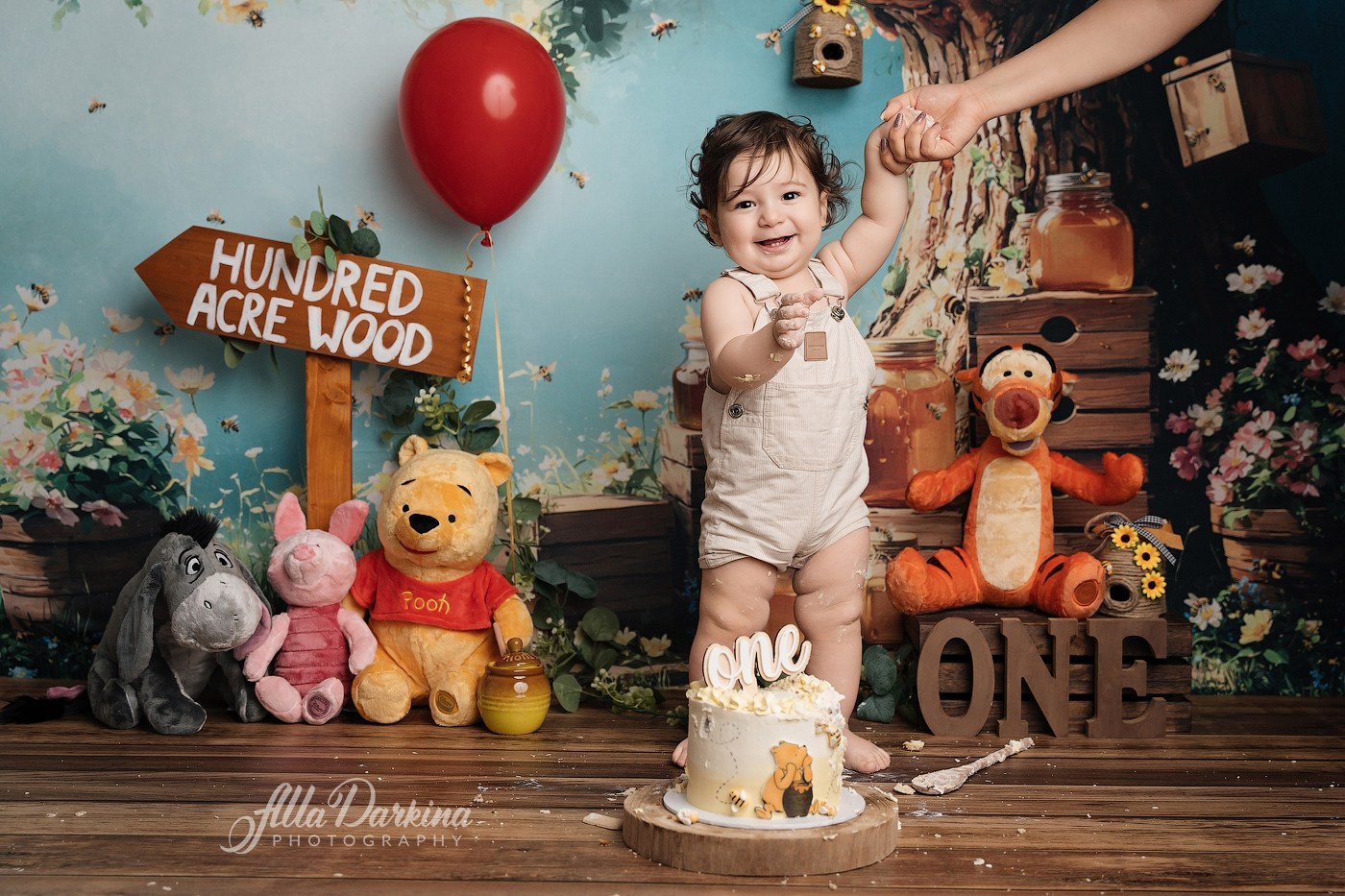 Arta’s “Winnie The Pooh” cake smash session