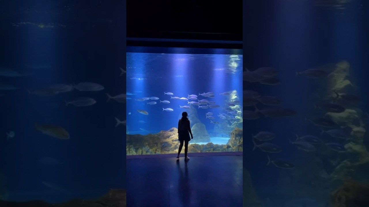 Mediakit @weportugal