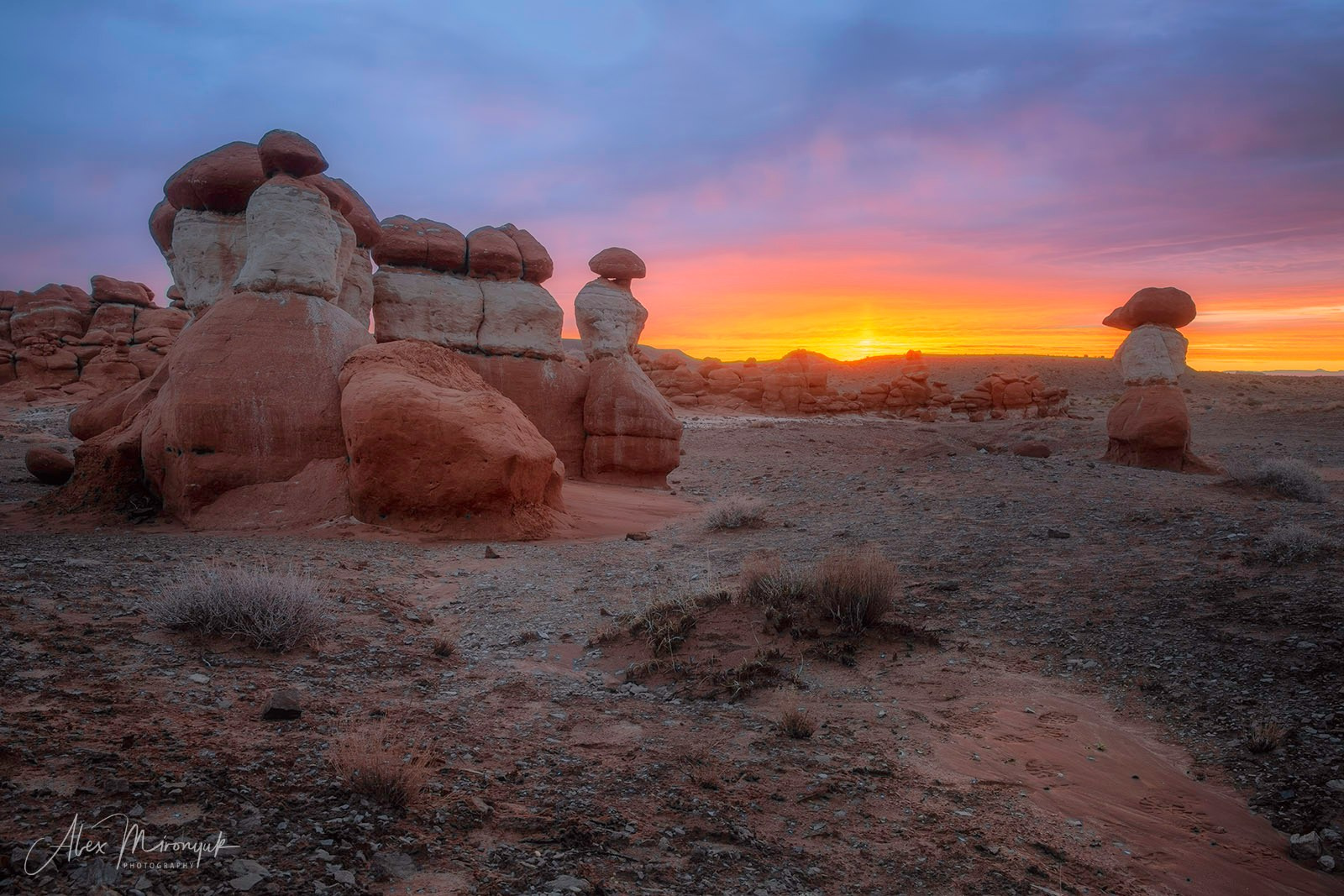 Eagle’s View: The American Southwest. Pet, Senior, Landscape, portrait studio, photographer in Miami and Sou