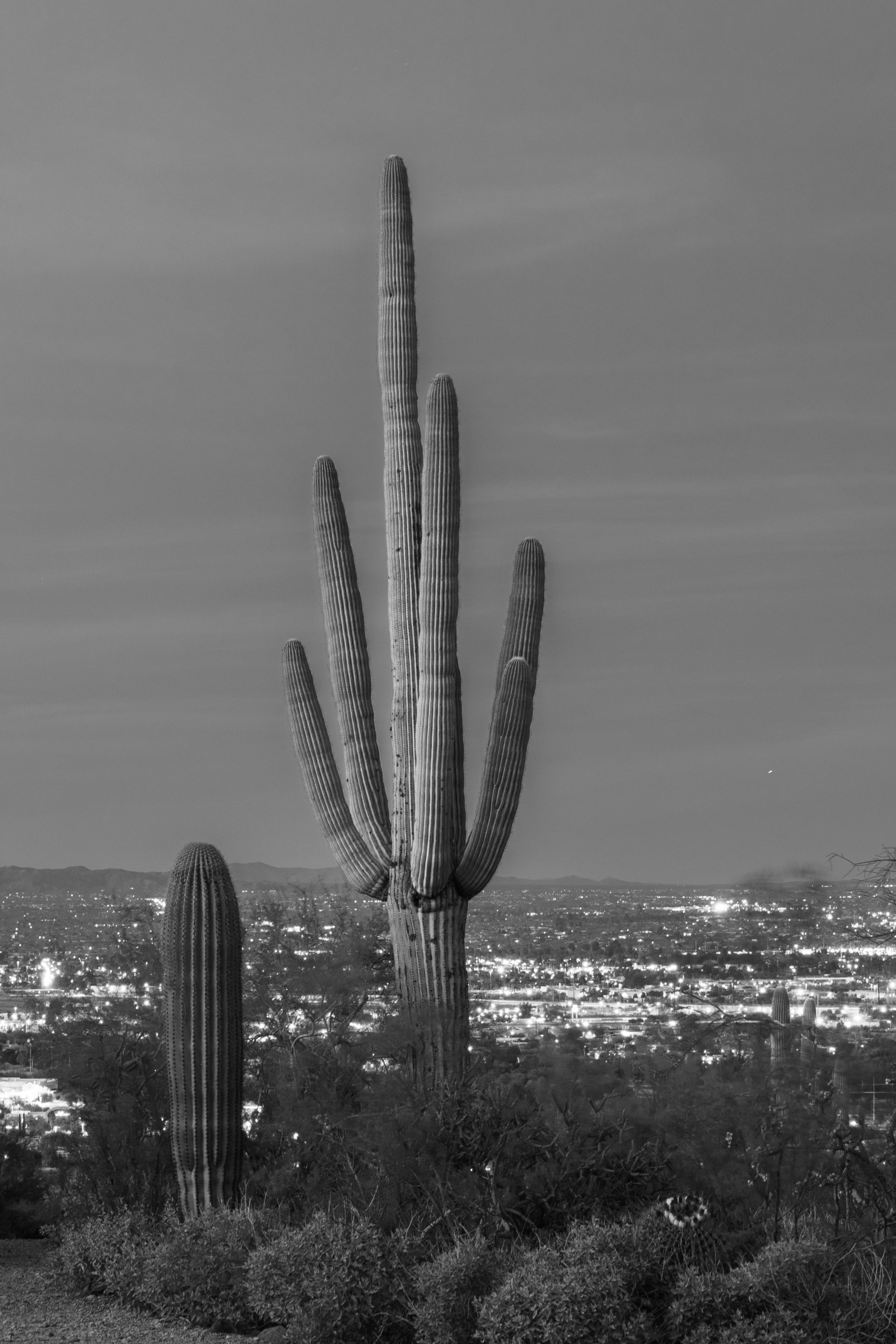 Портфолио. Olga Serebryannaya Travel Photography