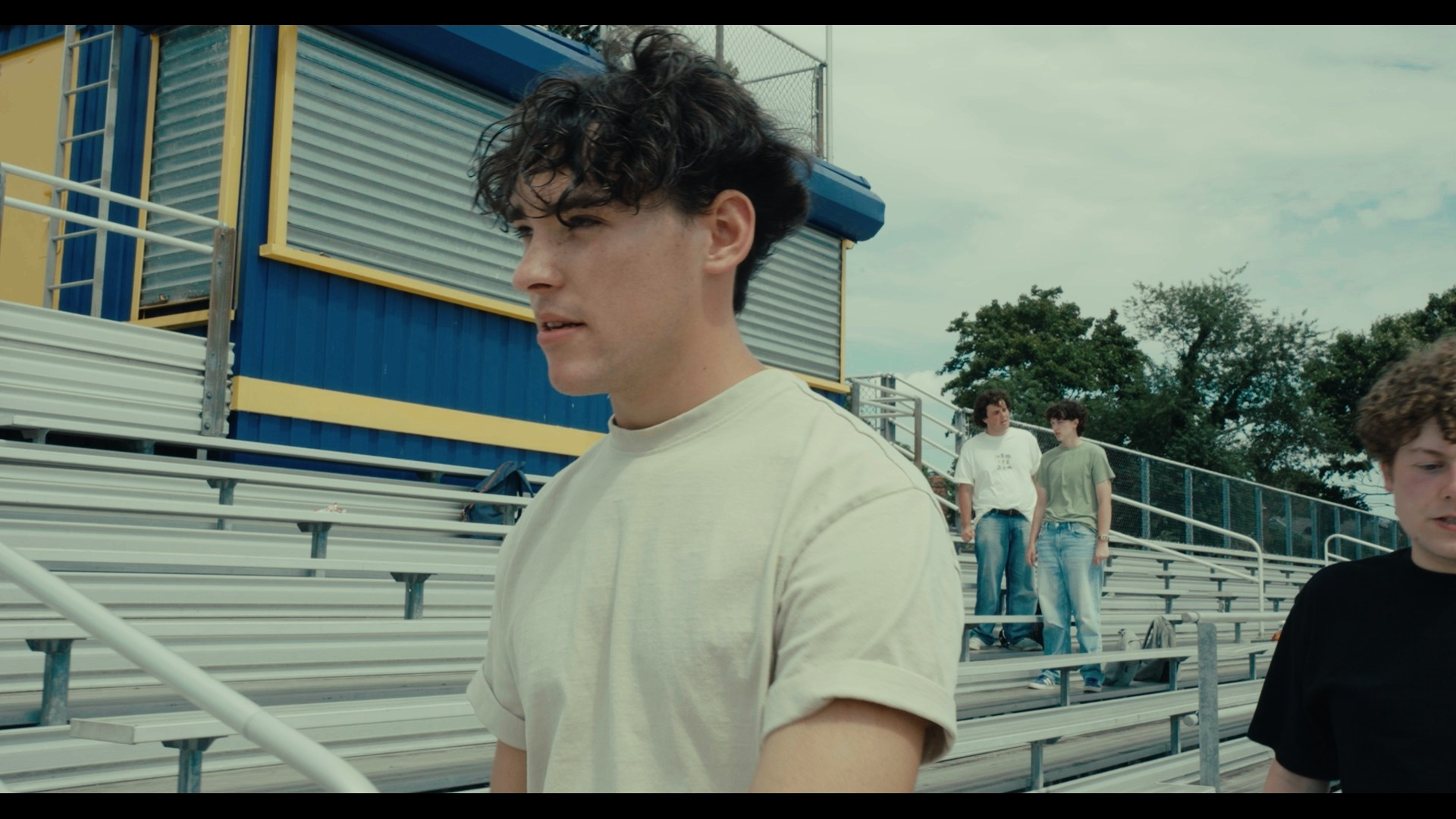 Amirhamzeh Mashayekhi Colorist