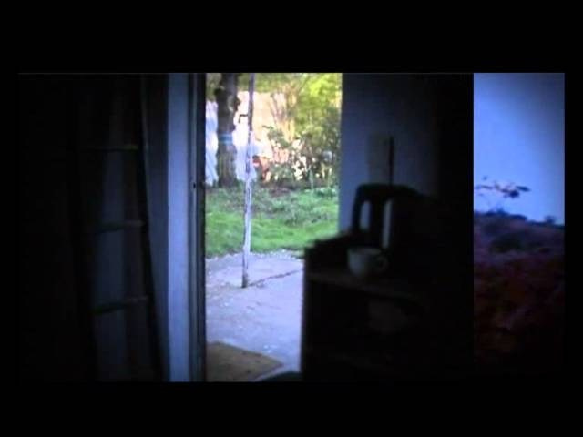 Короткометражные фильмы. Фотограф и фильммейкер Дмитрий Лимперт