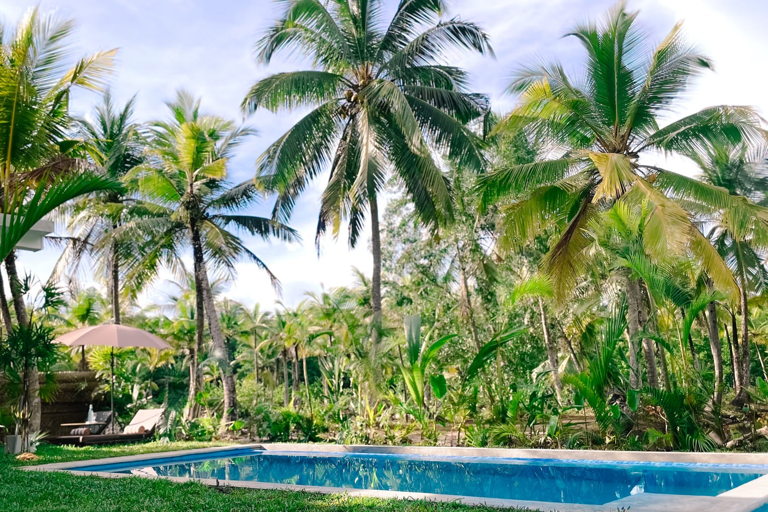 Una town. NEW-GENERATION housing in Sri Lanka
