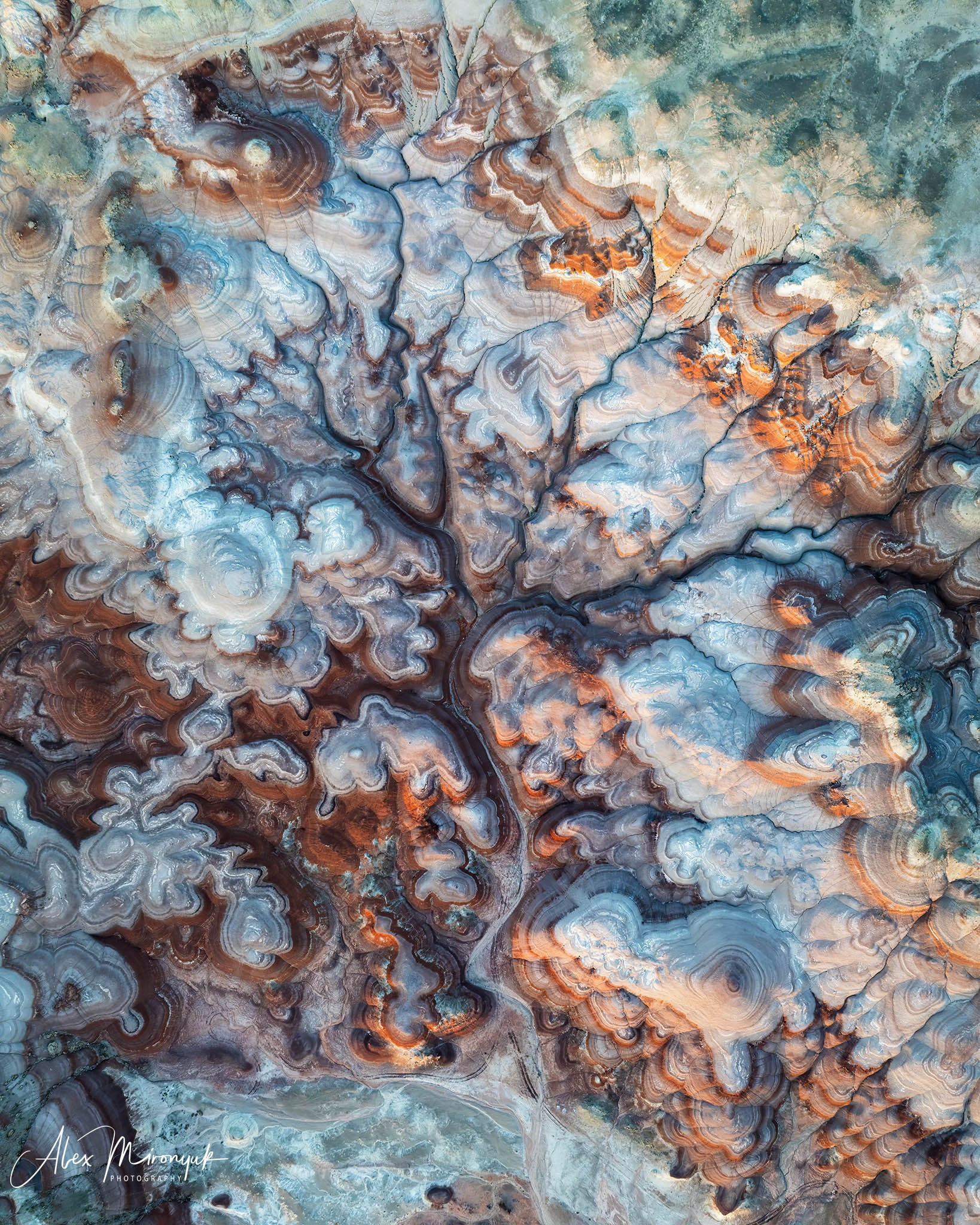 Eagle’s View: The American Southwest. Pet, Senior, Landscape, portrait studio, photographer in Miami and Sou