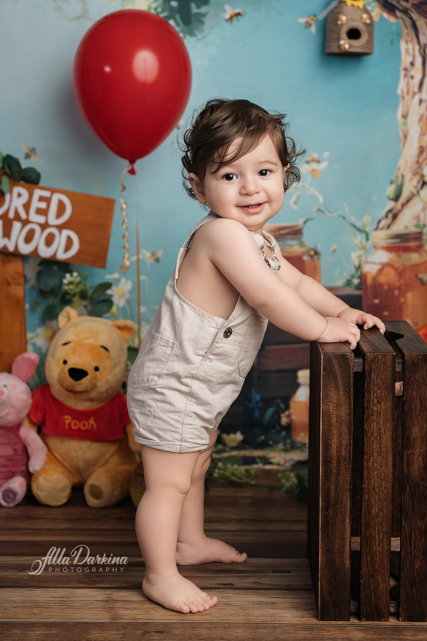 Arta’s “Winnie The Pooh” cake smash session