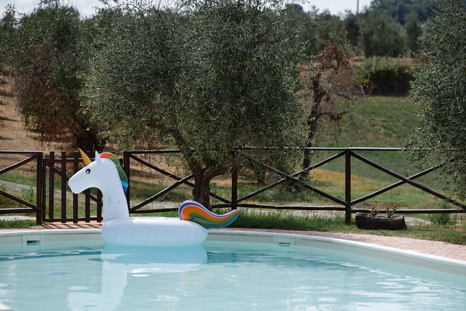 Ekaterina & Danil — Tuscany Wedding at Villa Barbara & La Ferdinanda. Bella Vita Weddings — Wedding Photography in Dubai & Destination