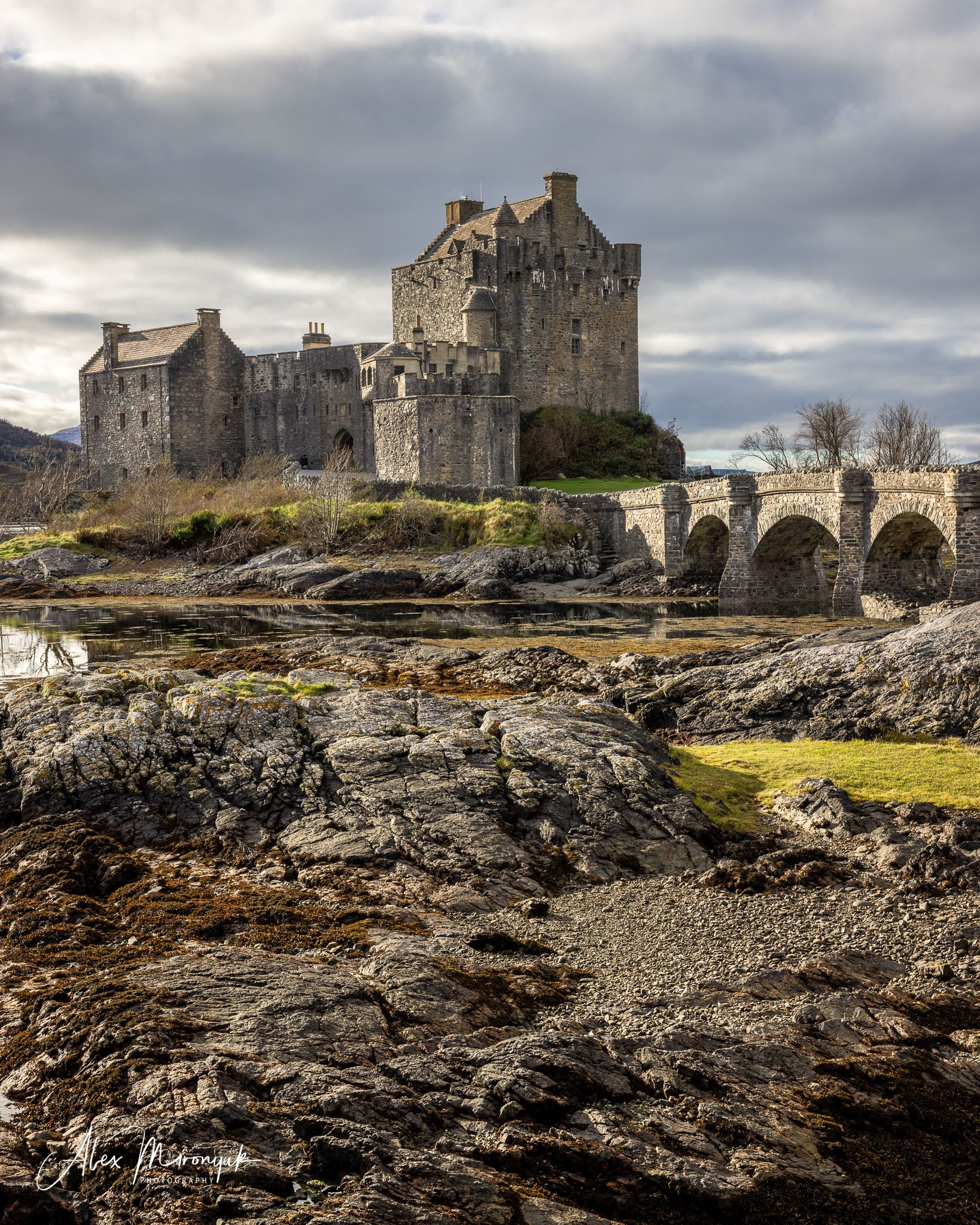 Scotland’s Highlands. Pet, Senior, Landscape, portrait studio, photographer in Miami and Sou