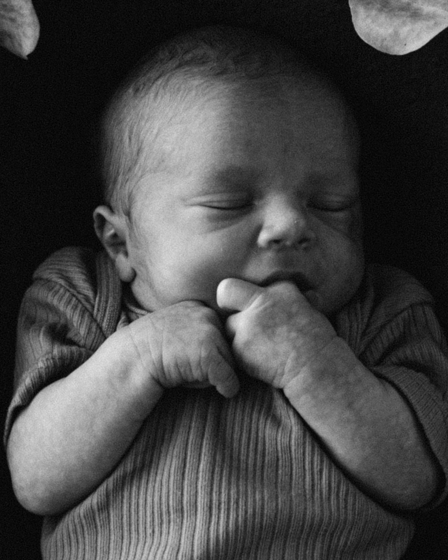 Newborn. Wedding Photographer in Winnipeg — Cinematic & Timeless by Vitiuk Photography