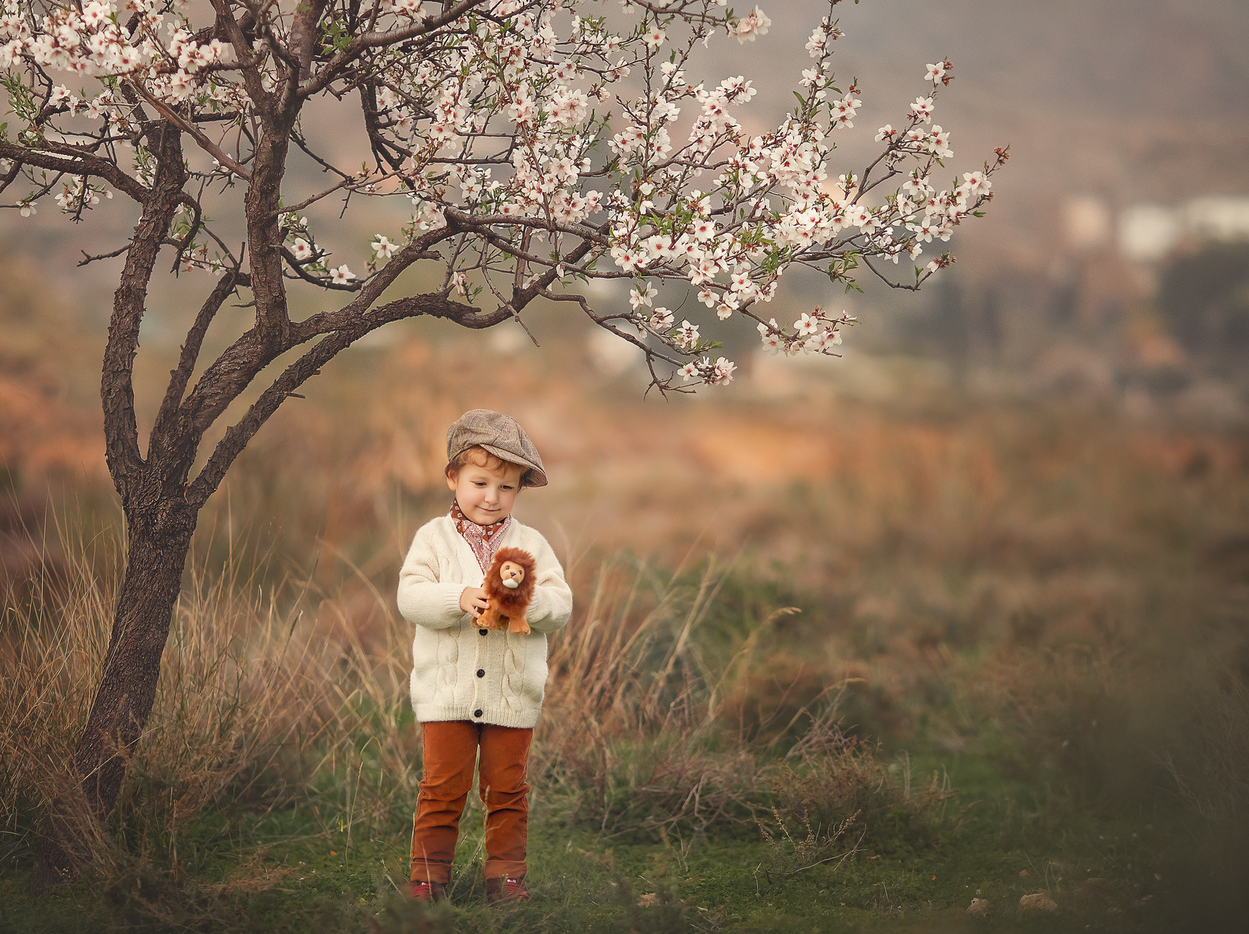 Servicios. Fotógrafo Almeria. Swetlana Ushakova