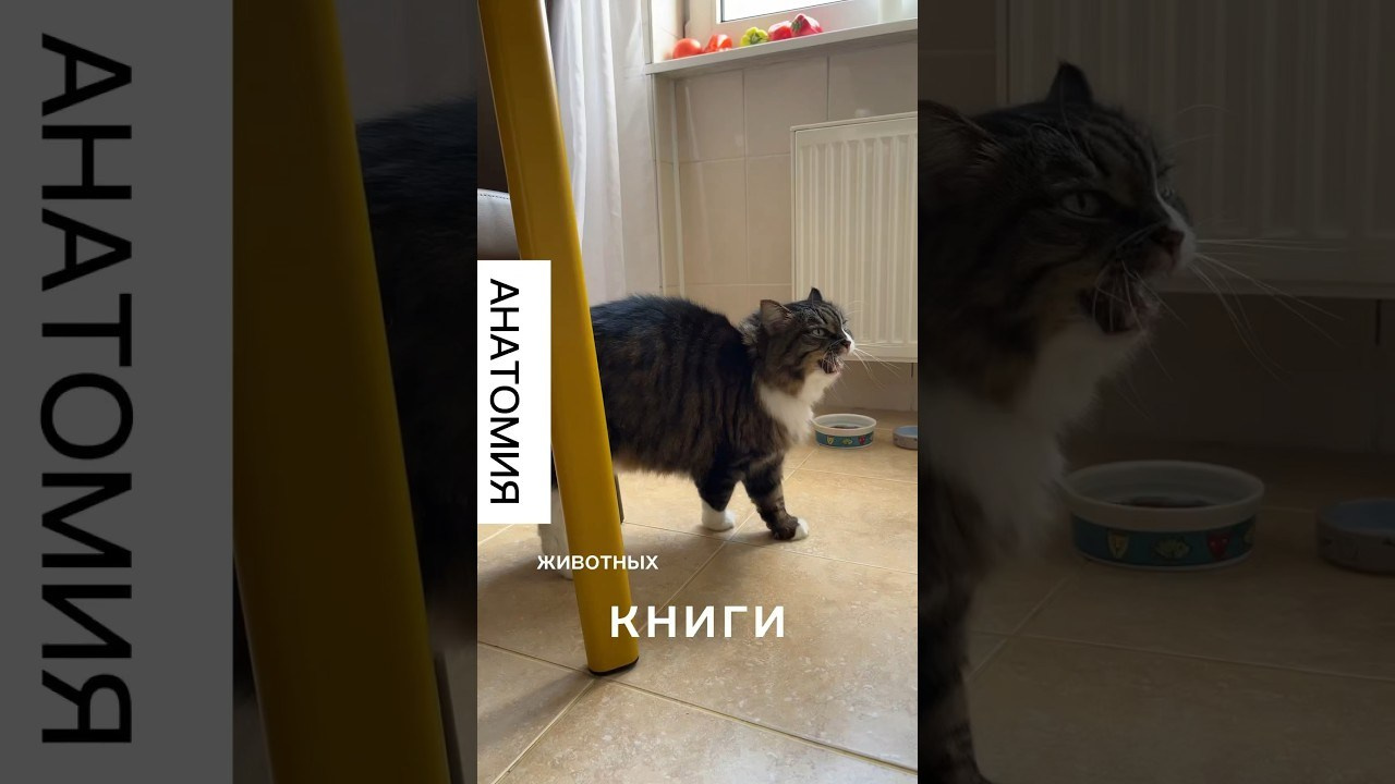 Мастер класс «Какой хочу, такой и зверь». Школа современного искусства Лени Сморагдовой