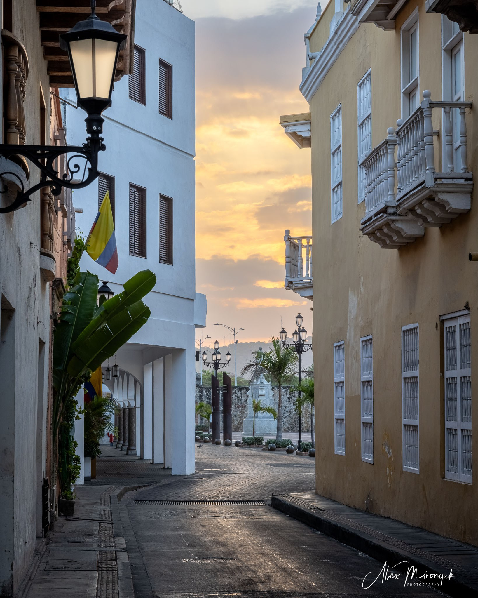 Colombia in Style. Pet, Senior, Landscape, portrait studio, photographer in Miami and Sou