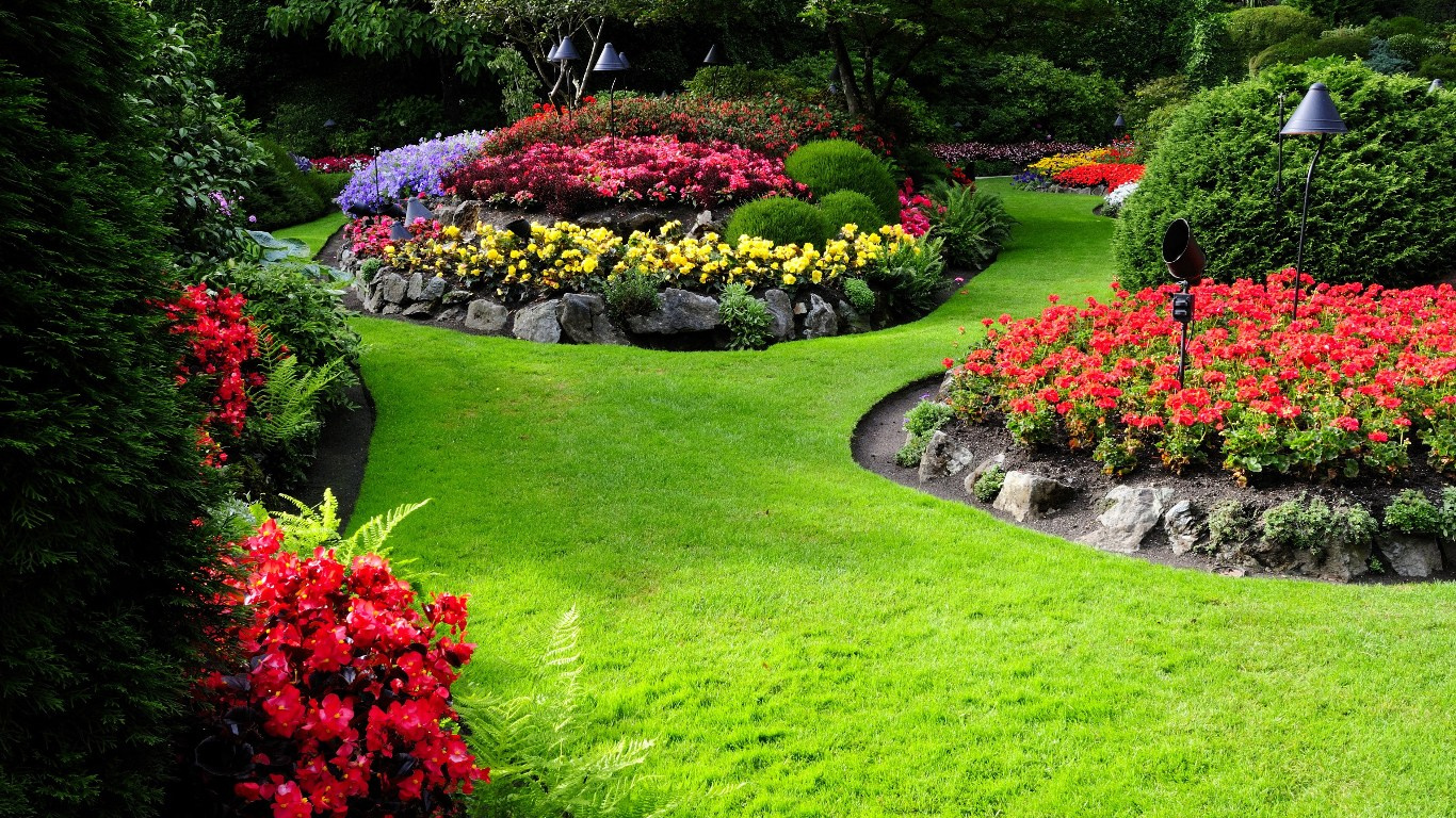 Grow Peat Organic Fertilizer: Boost Flower and Roses Growth. Boost Plant Growth with Organic Fertilizers: Our Effective Solution