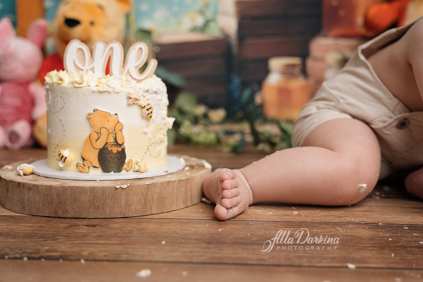 Arta’s “Winnie The Pooh” cake smash session