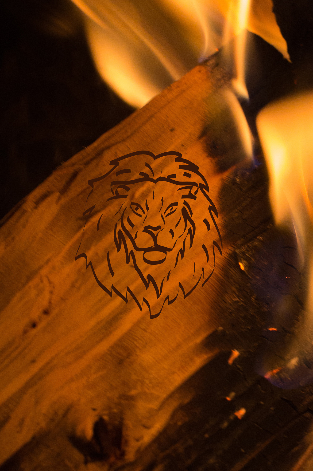 Personalized Still Lives. Lolly Shine. Contemporary digital artist